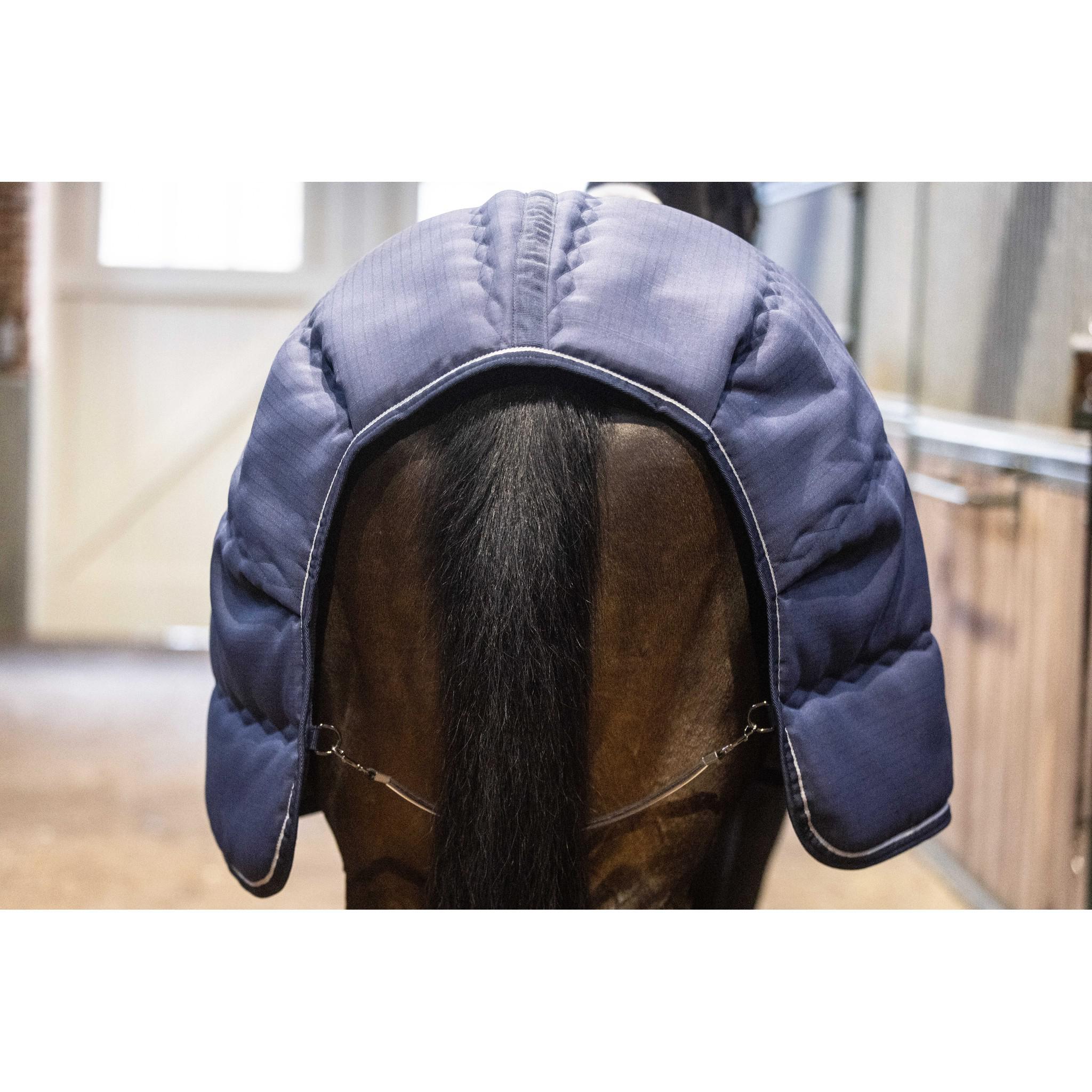 Lami-Cell Stable Master Stable Rug Navy blue 400766060