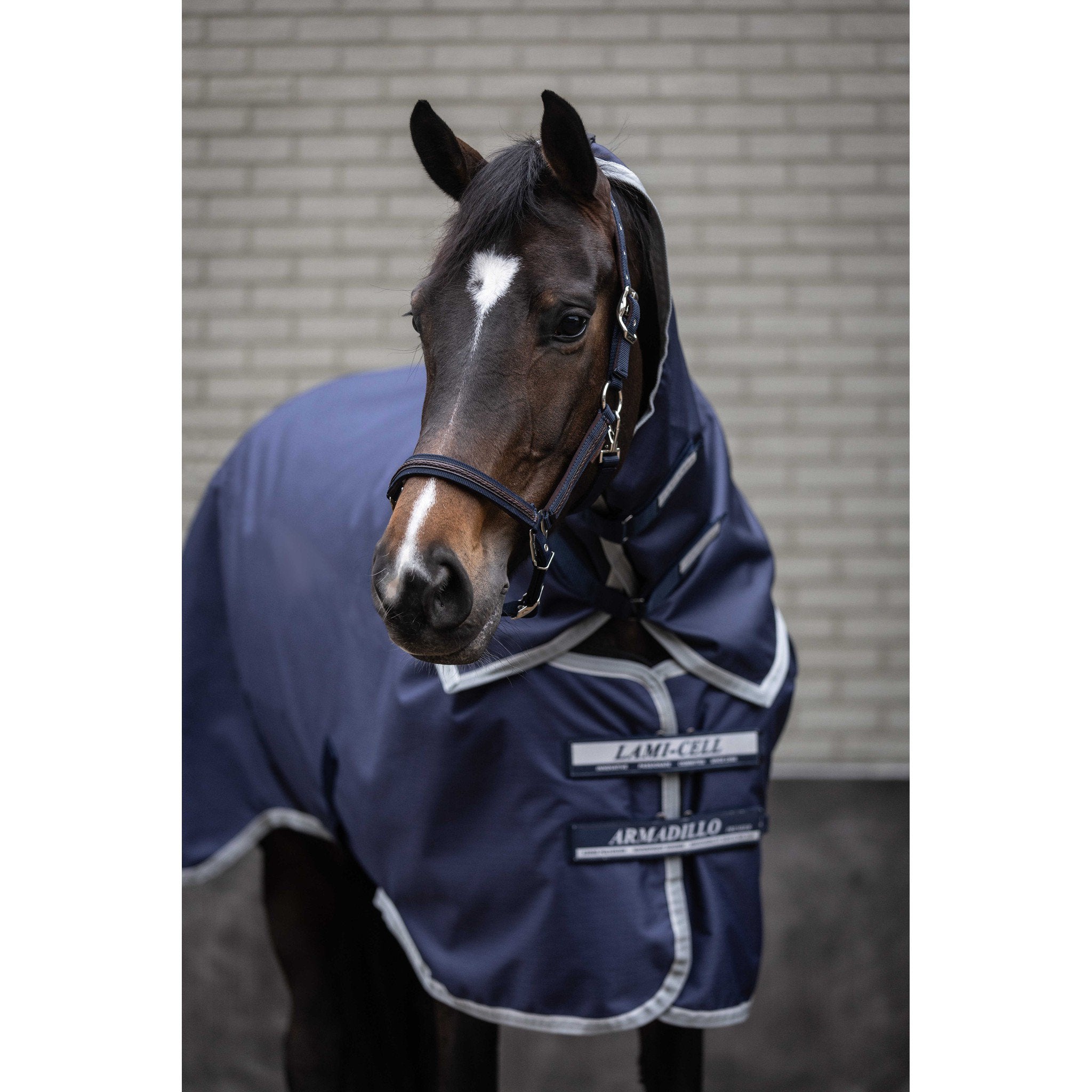 Lami-Cell Armadillo Neck Cover Navy blue 400570307
