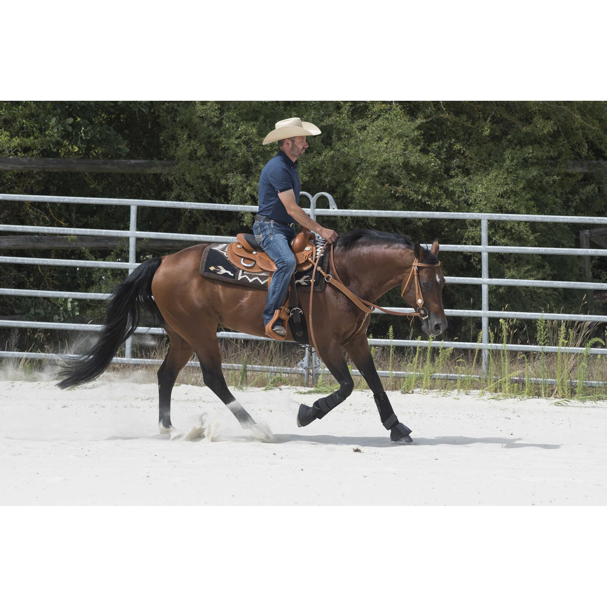 Westride Aurora Saddle by Franck Perret Chestnut 800043016