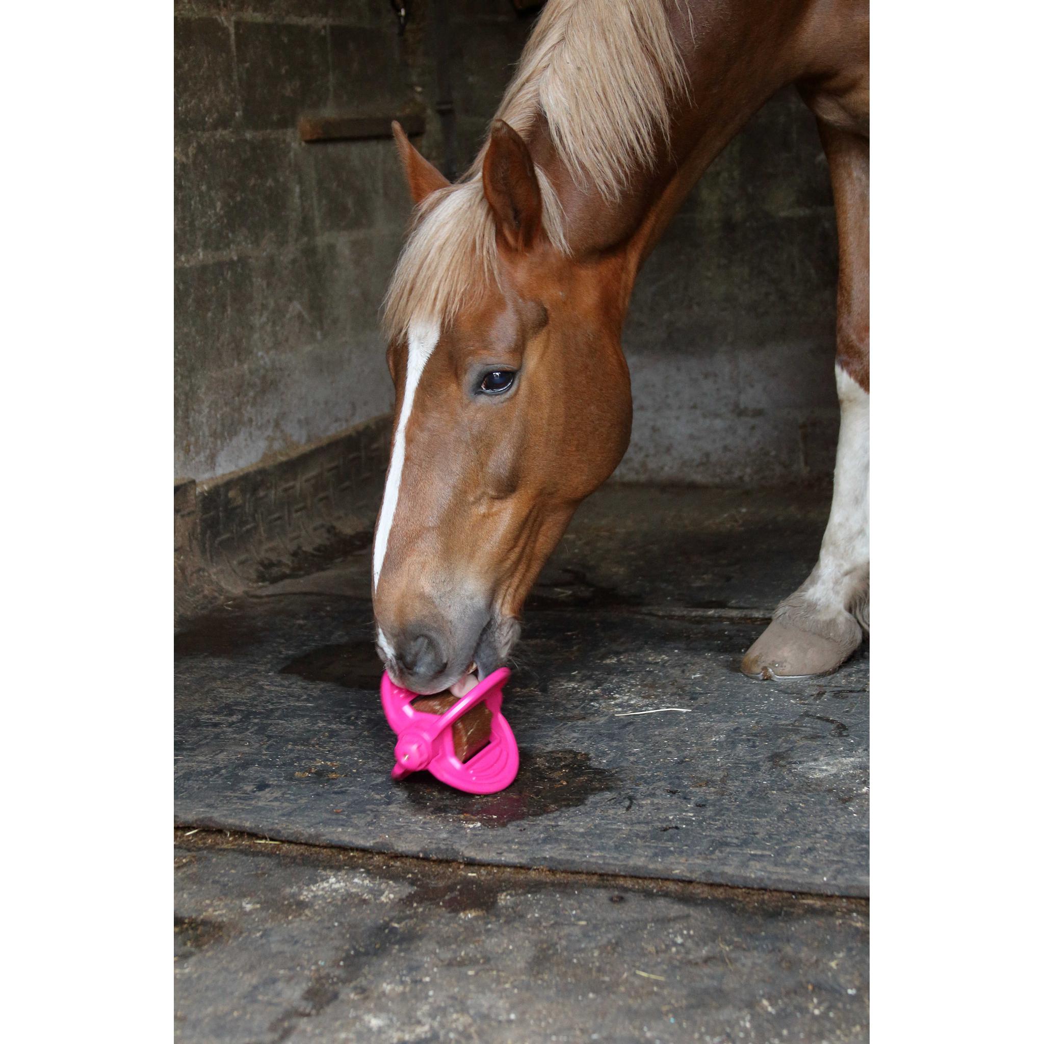 Bizzy Ball Holder Fuchsia - 380080052_ambi_4