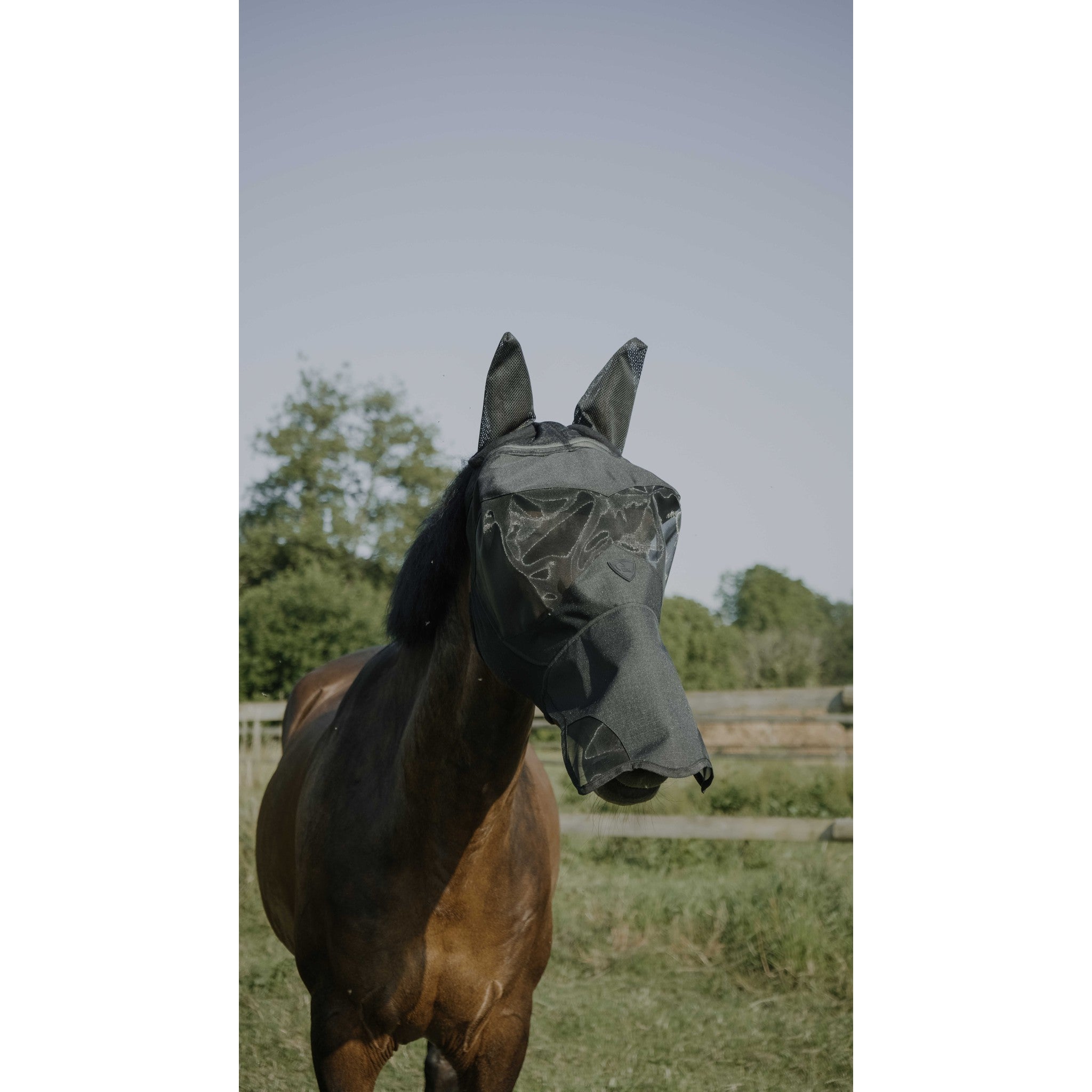 Pro Series Visor Fly Mask Black 306038203