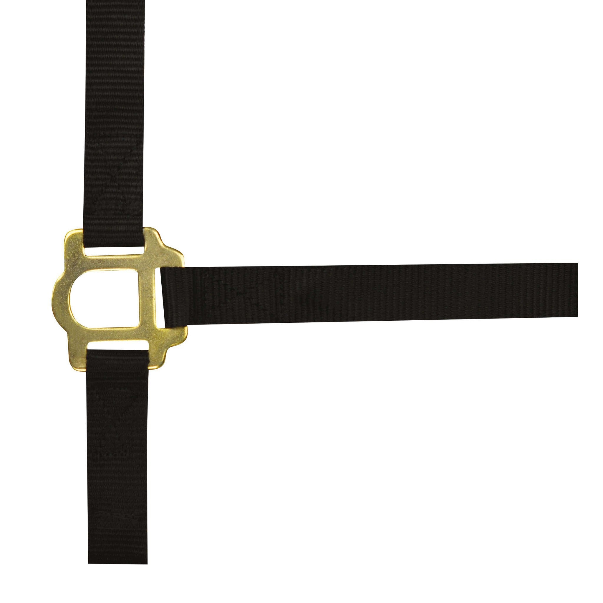 Norton Double thickness nylon headcollar with buckles Black 510041002