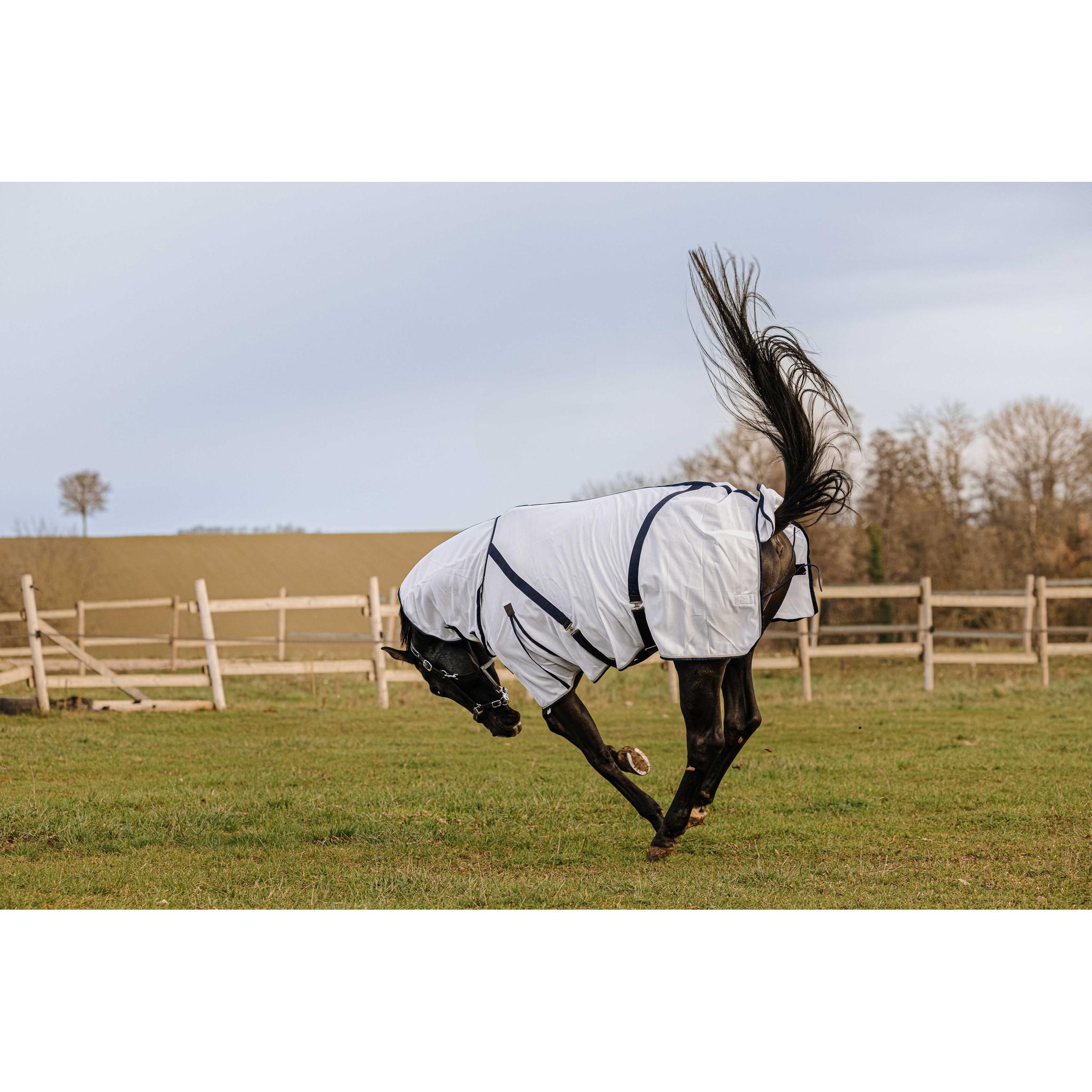 EQUITHÈME Mesh Sheet - Combo White 400350063