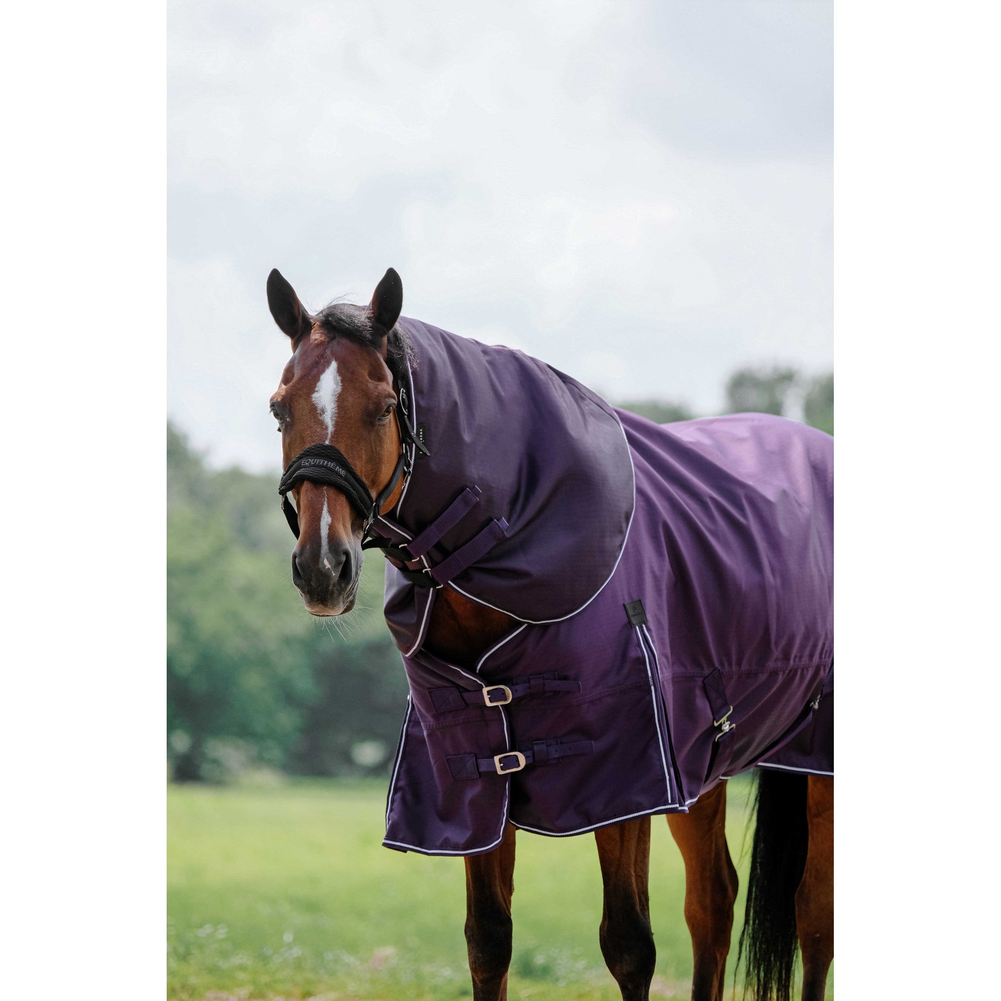 EQUITHÈME Tyrex 600D Neck cover Plum 400567133