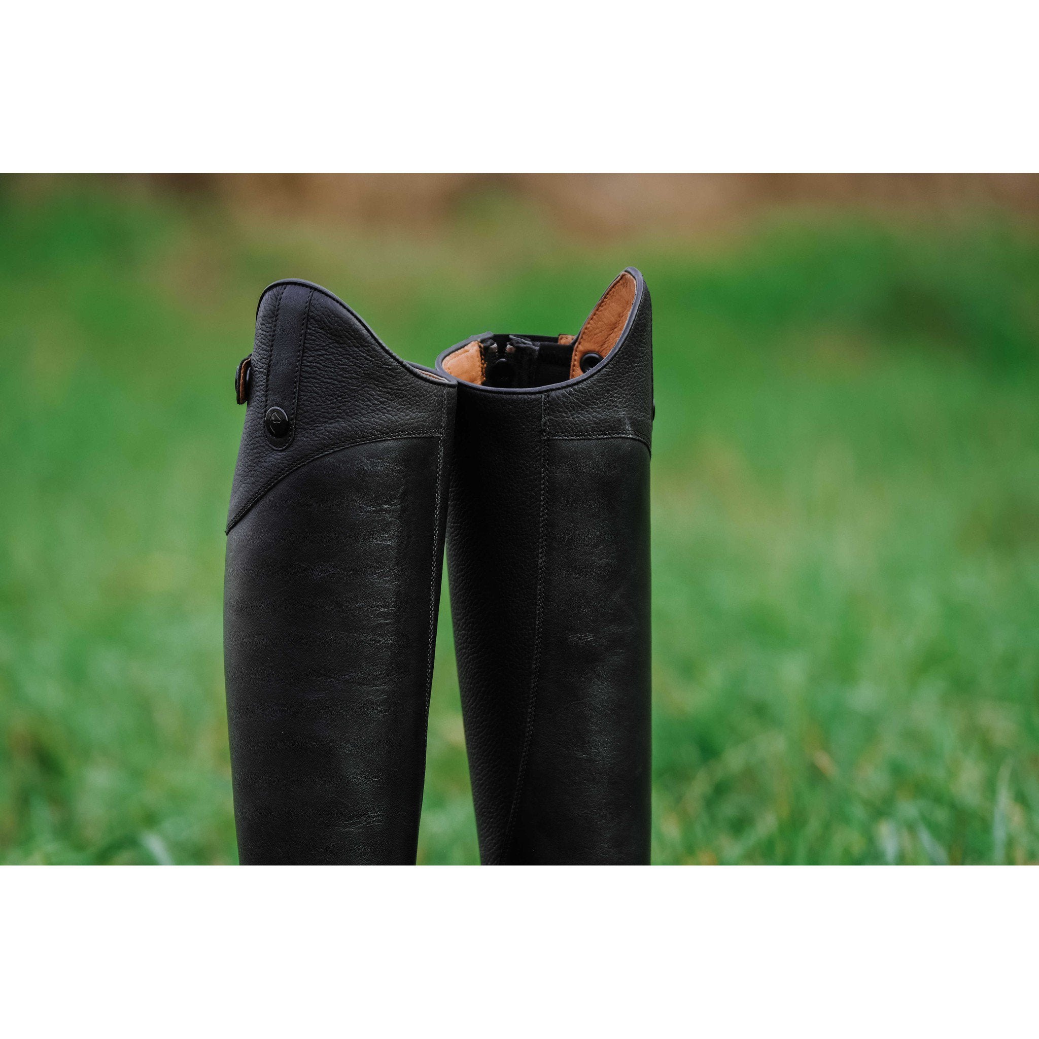 EQUITHÈME - New Primera - Tall Boots Black 918127539