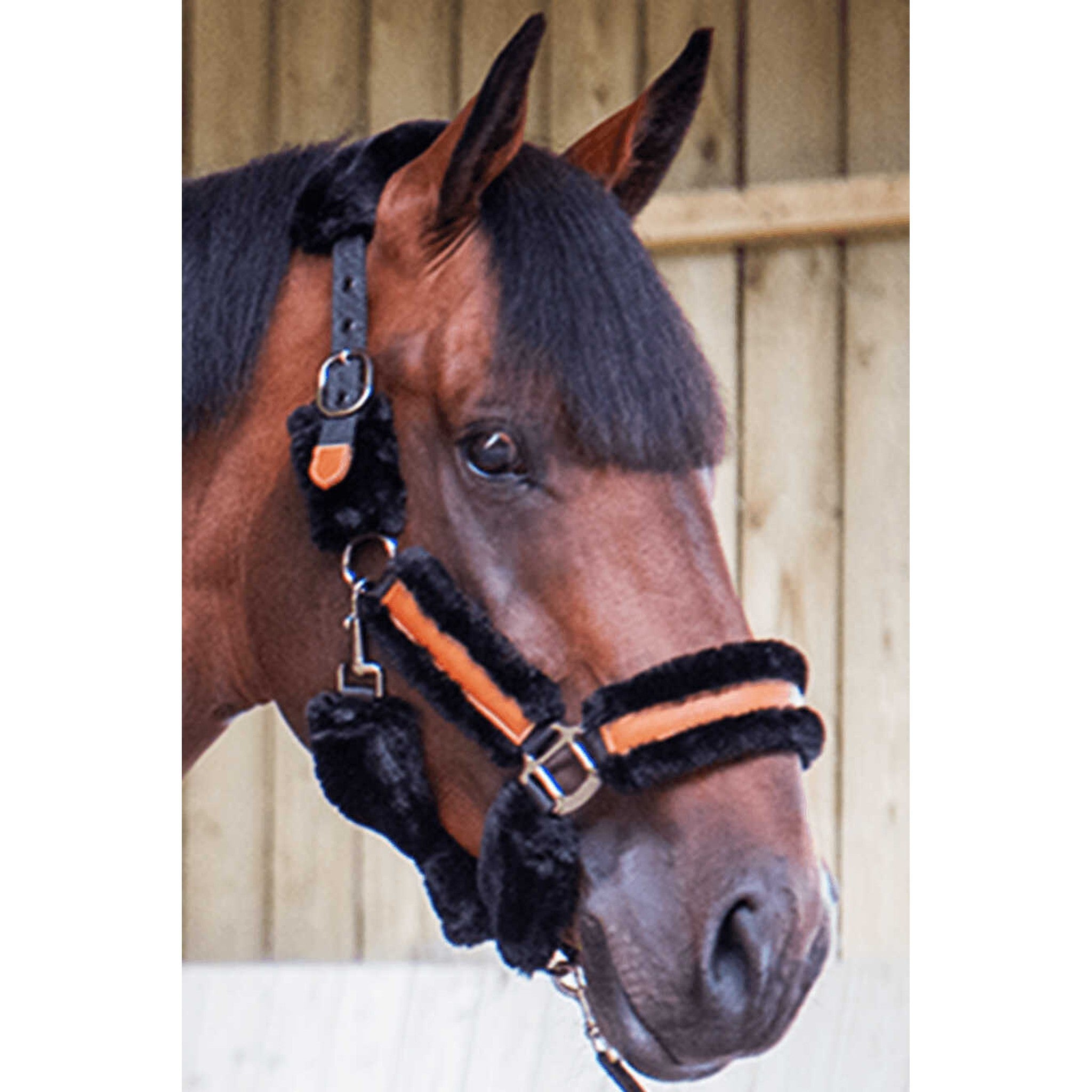 Pénélope Soft halter Black/black 510902322