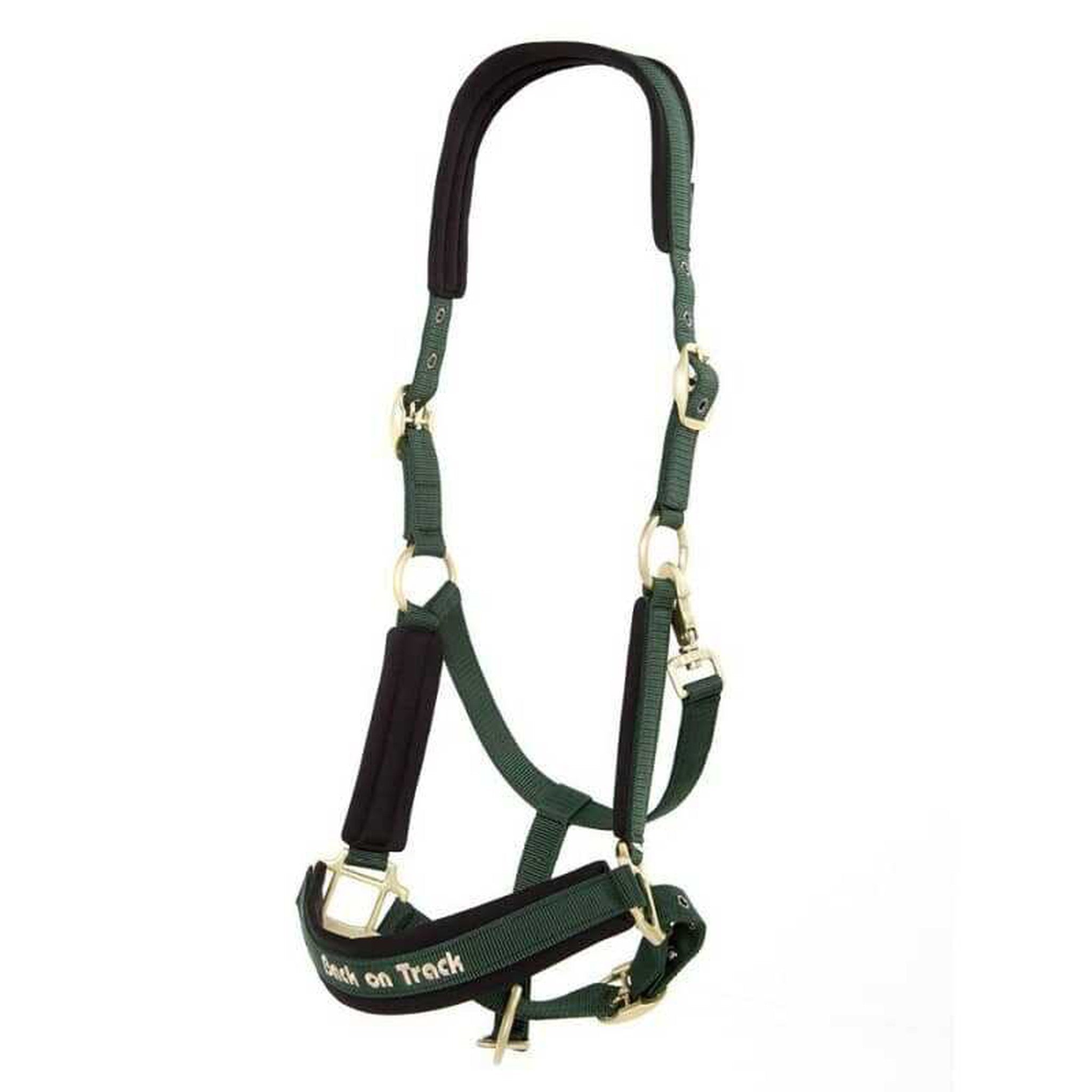 Back on Track Werano halter Green b20641102