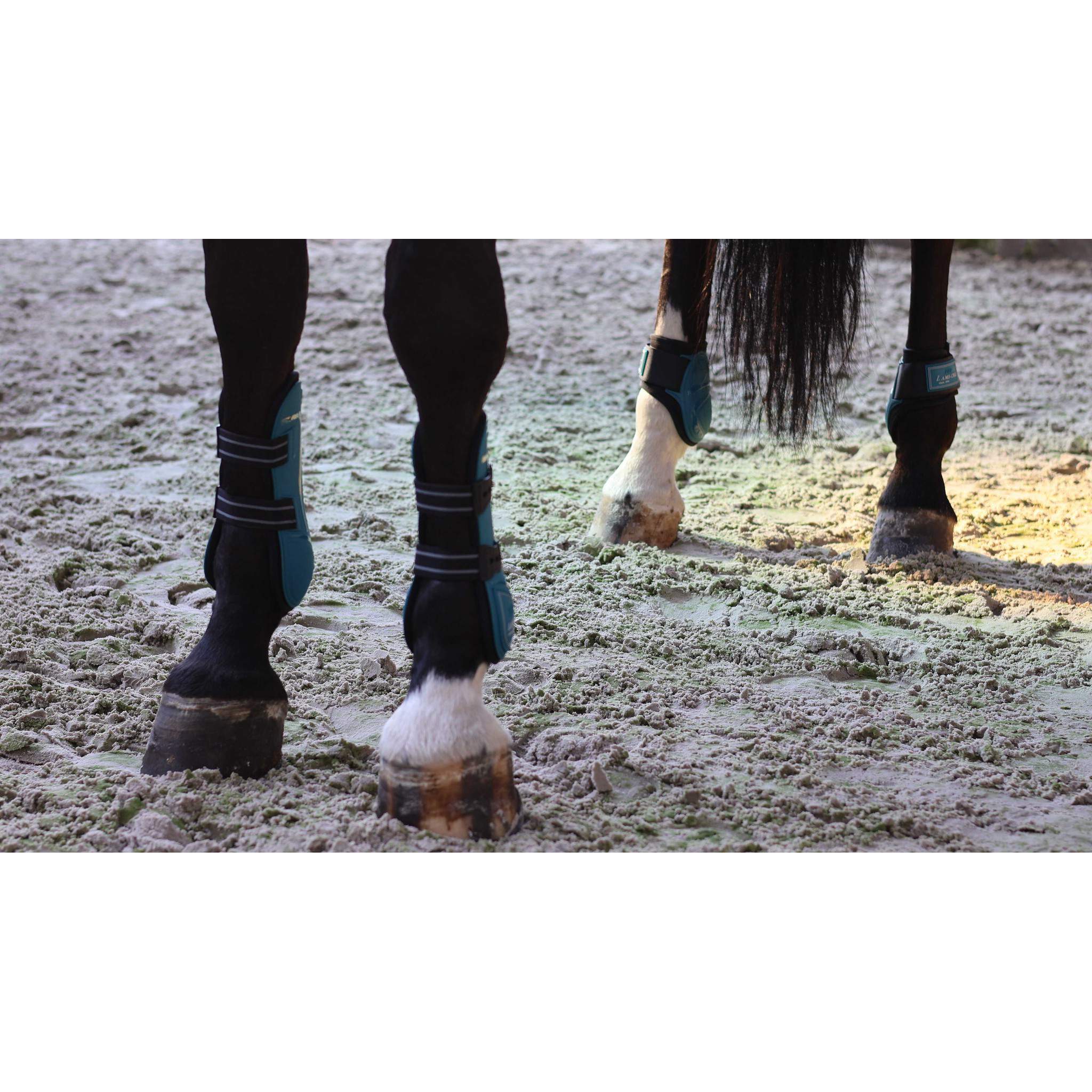 Lami-Cell Elite Fetlock and Tendon Boots Turquoise 550141317