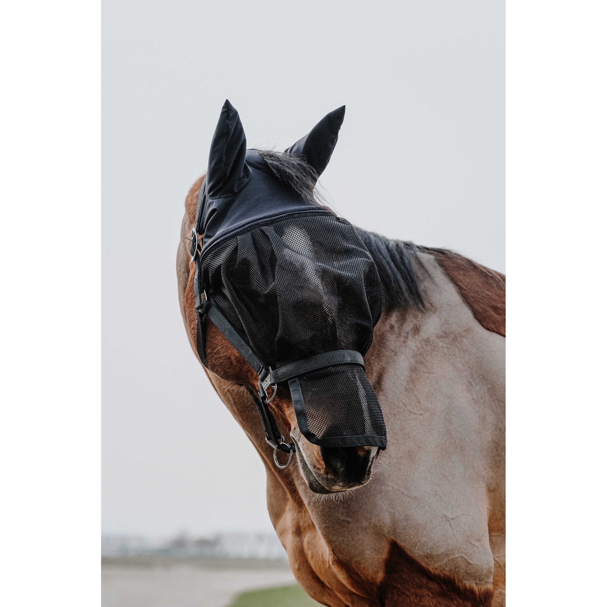 EQUITHÈME Halter + fly mask Black 510062003