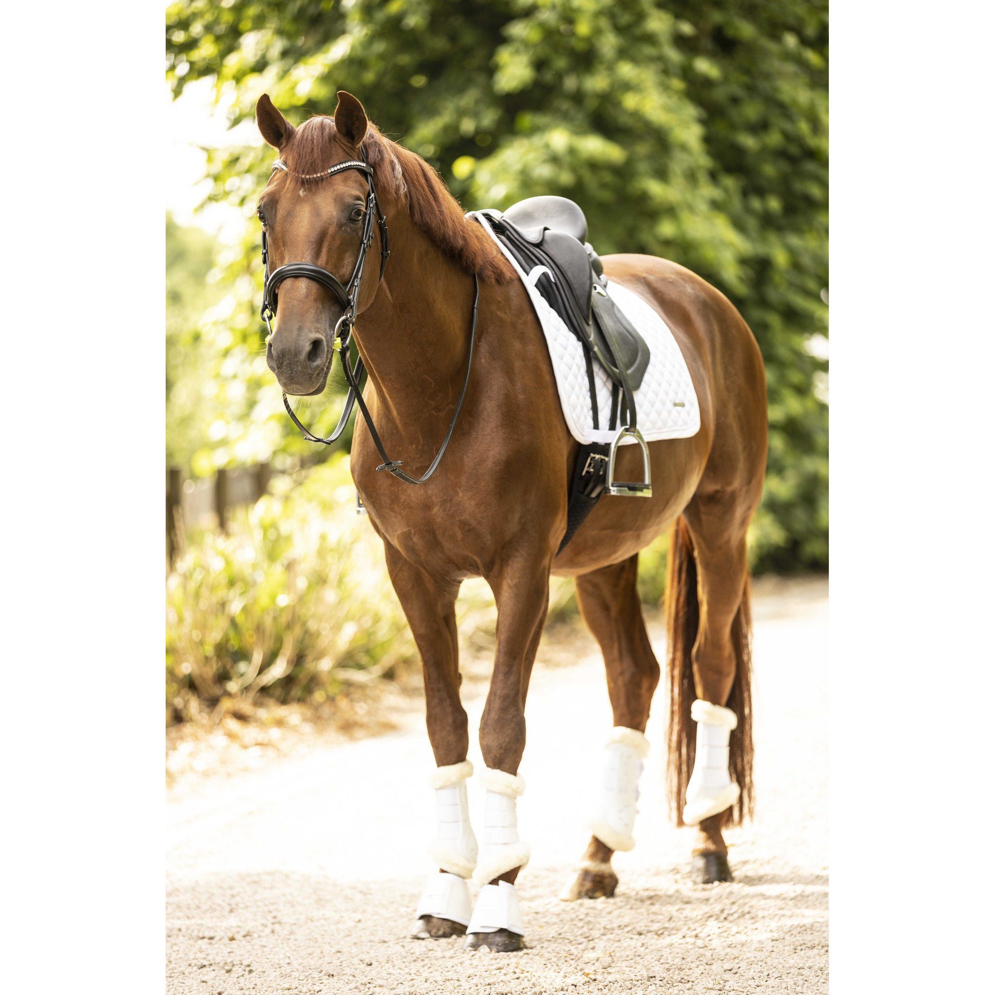 Lami-Cell Classic Saddle Pad - All purpose White 220035301