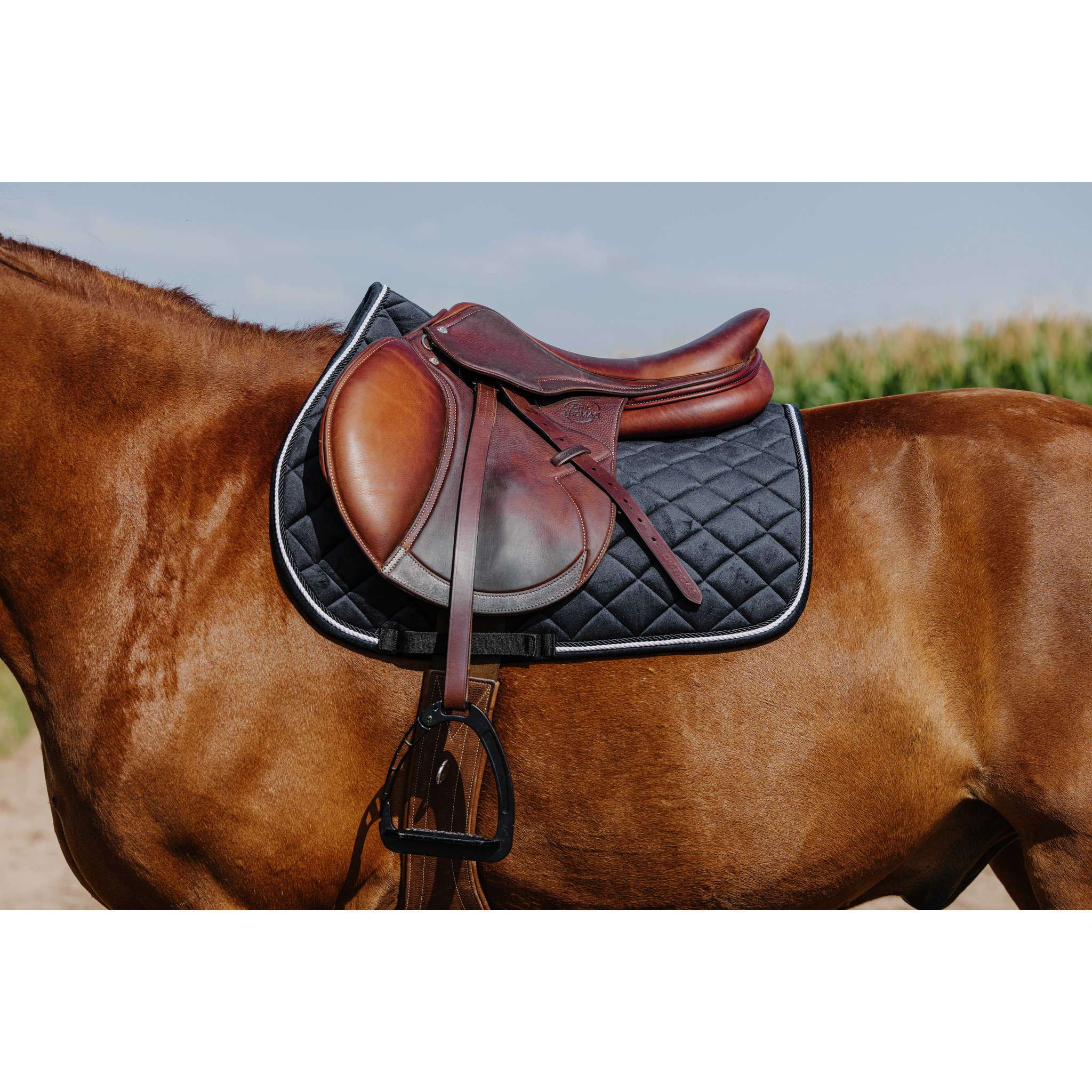 Riding World Velours saddle pad - All purpose Black 204059002