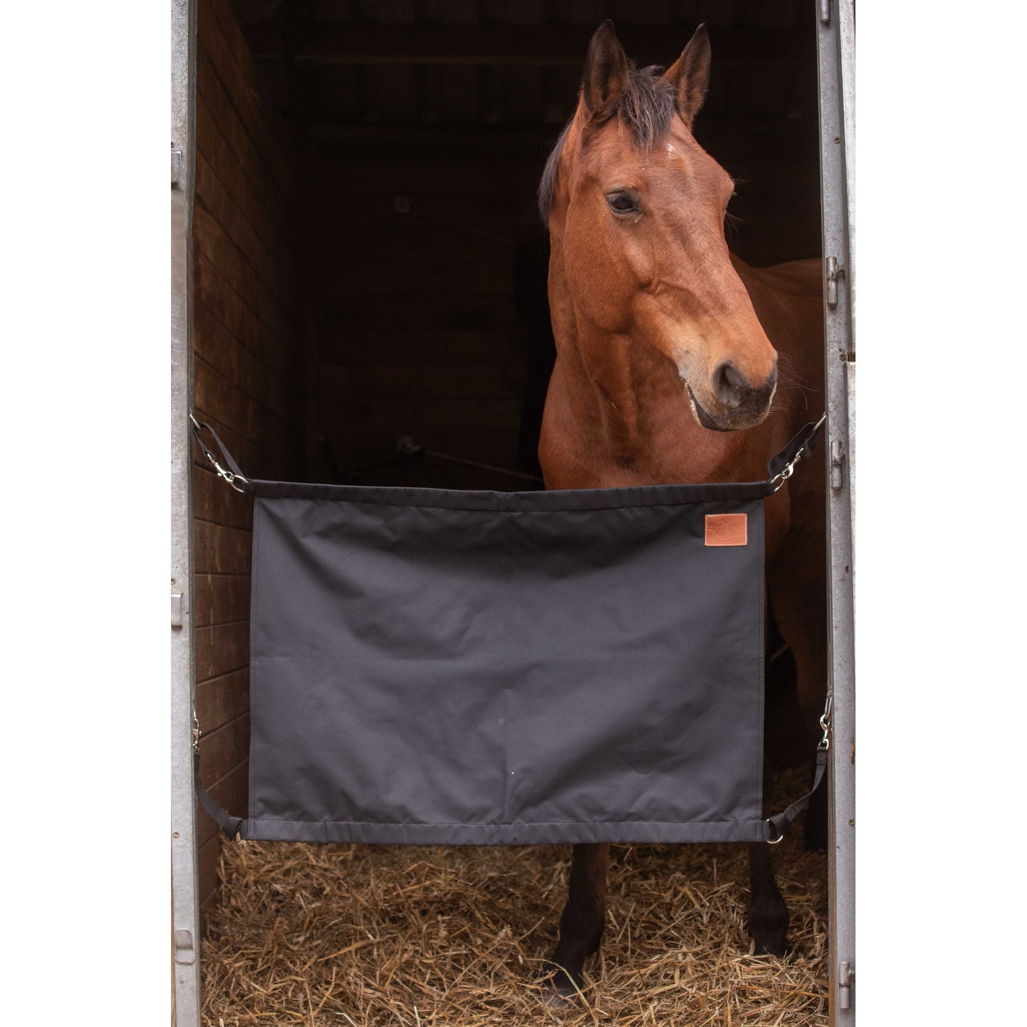 Paddock Sports Prem's Stall Guard Black - 935931002_ambi_3