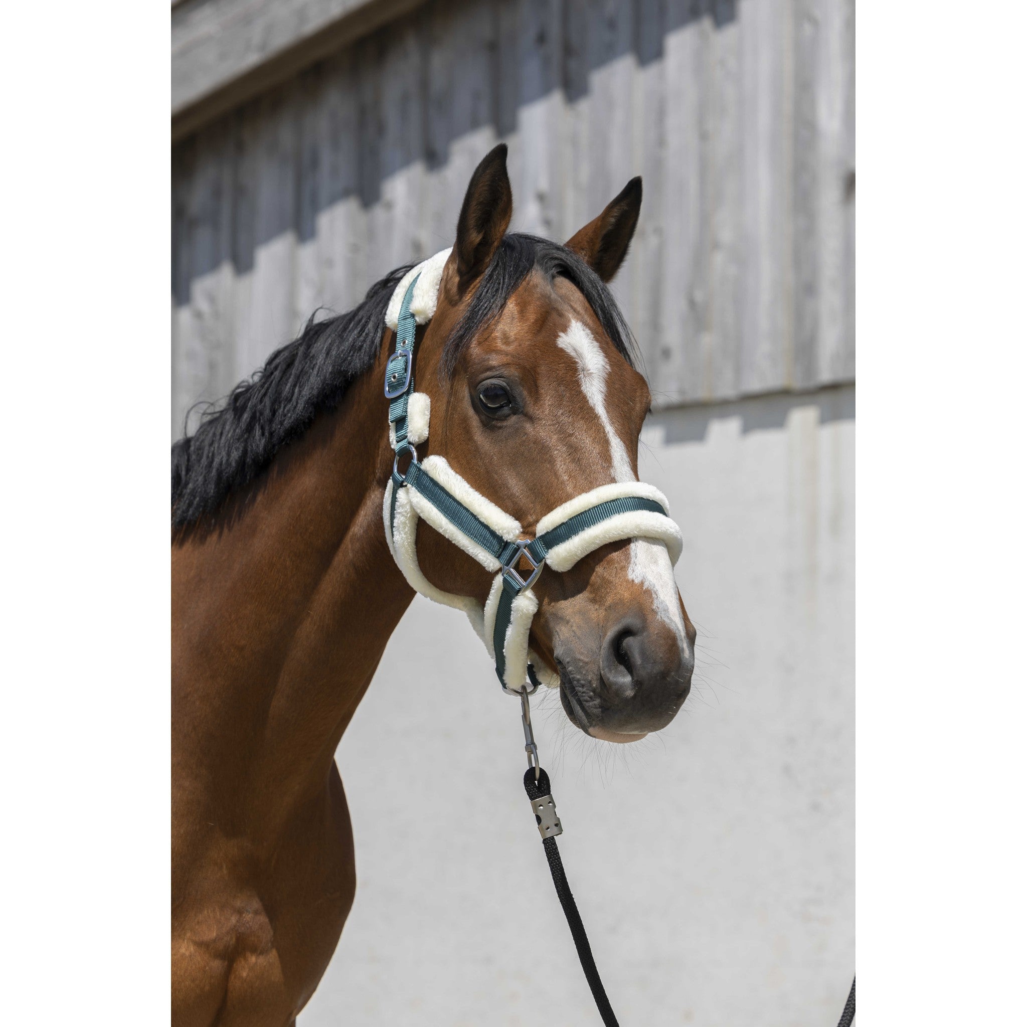 Norton Cosy Halter Dark green 510243309