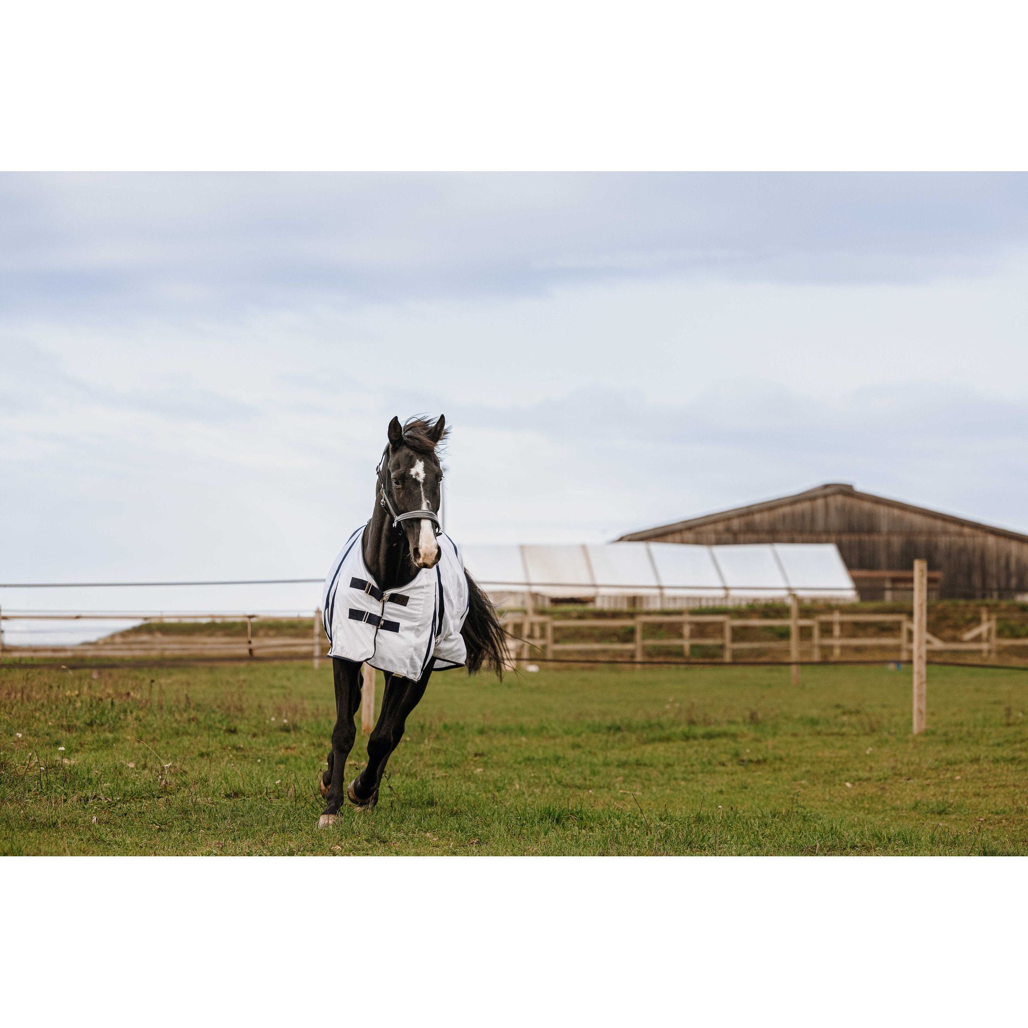 EQUITHÈME Mesh Sheet - Standard White 400353063