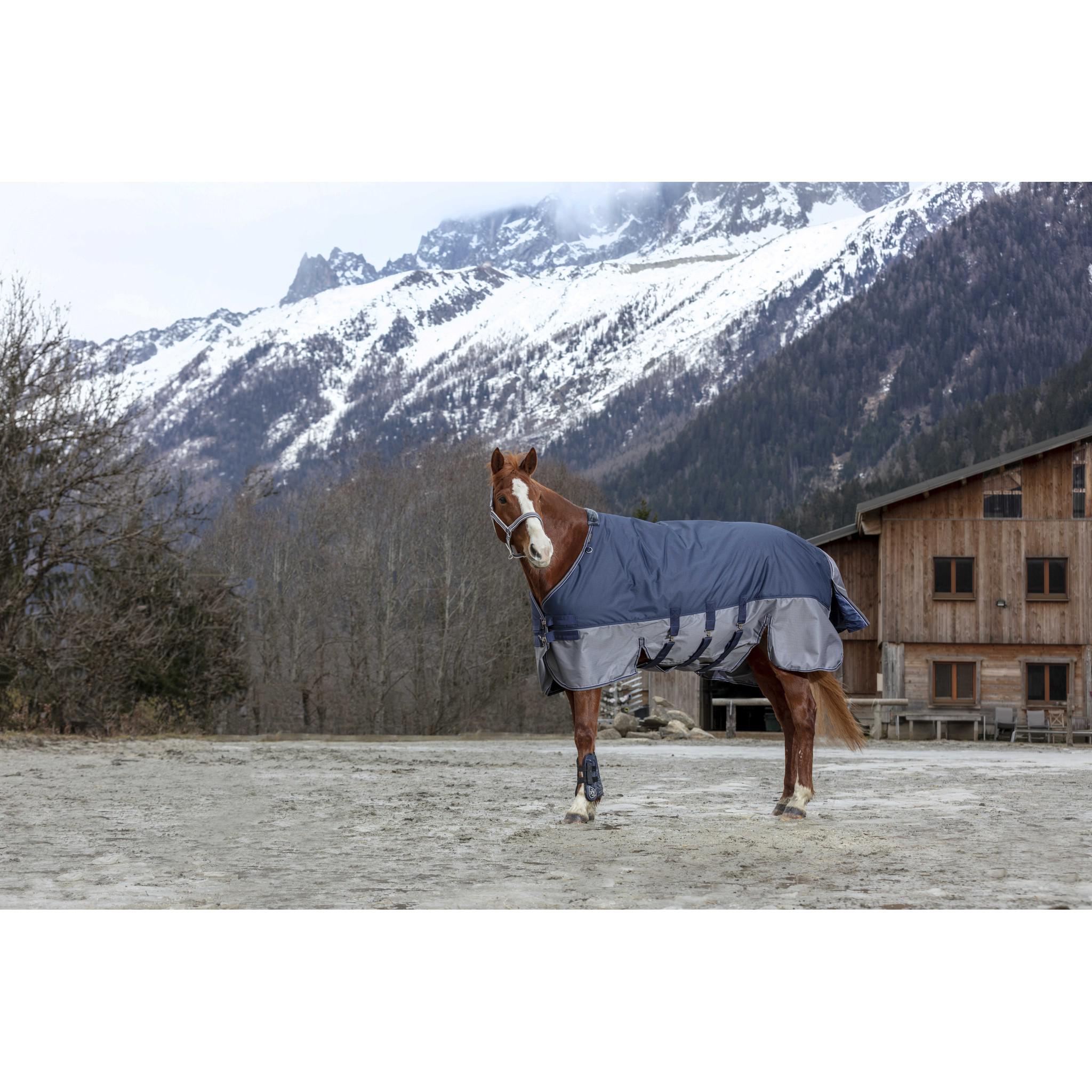 EQUITHÈME Tyrex New 600 D Turnout rug - belly belt Navy blue/grey 400922763