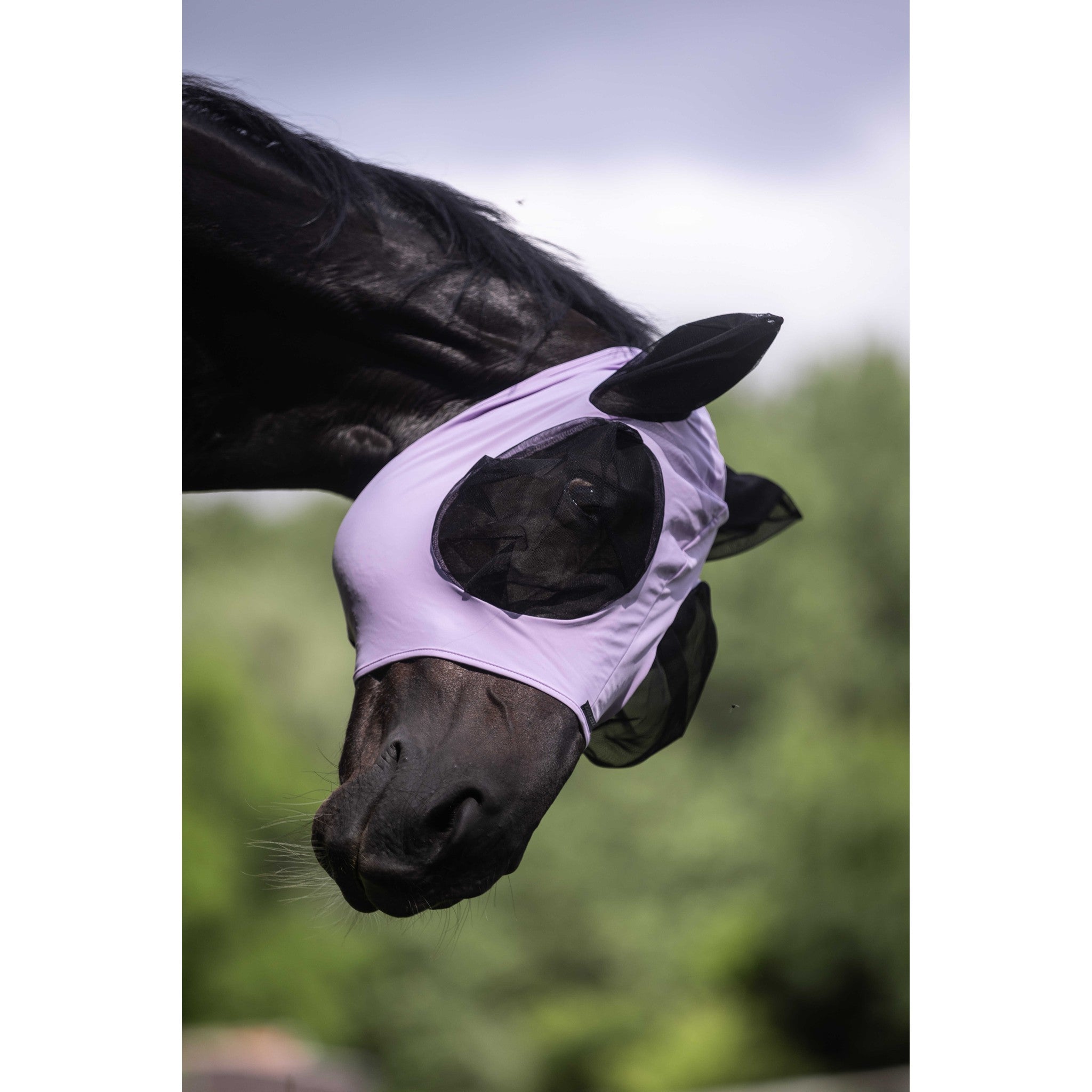 LAMI-CELL Lycra Fly Mask Lilac - 306046216_ambi_4