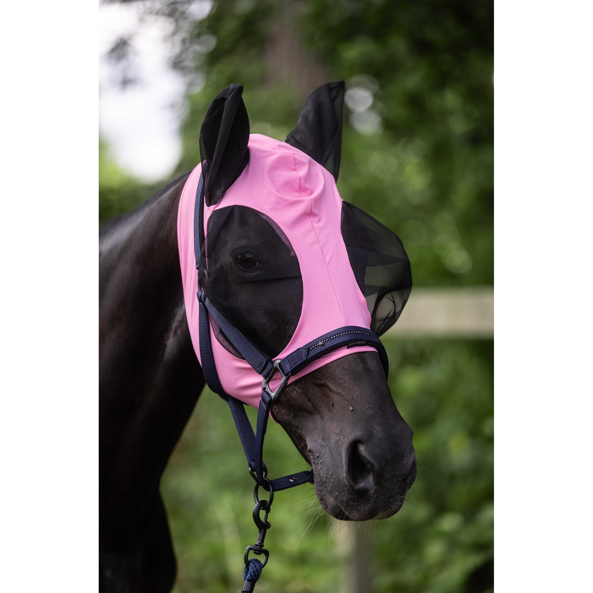 LAMI-CELL Lycra Fly Mask Pink - 306046213_ambi_8