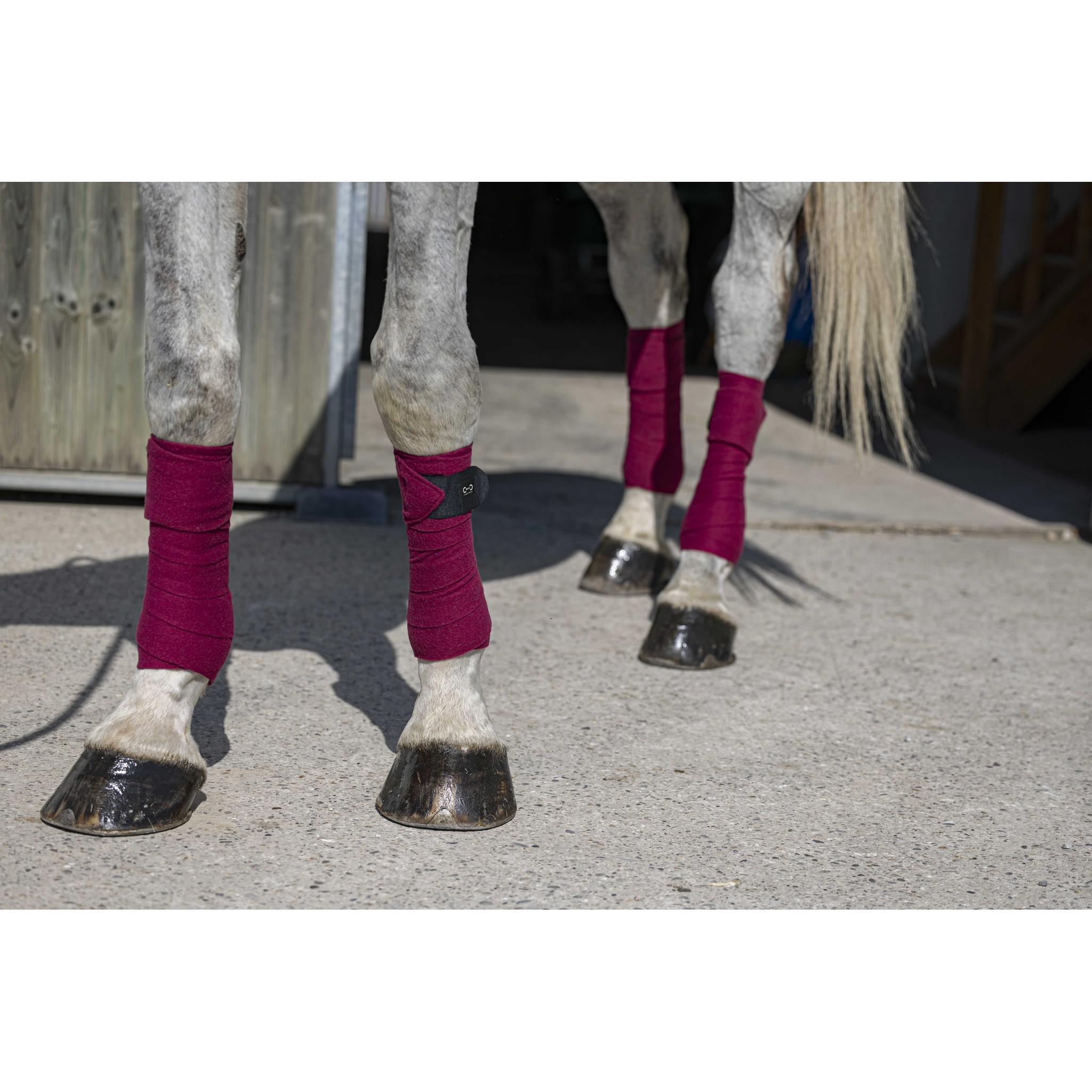 Riding World Eco Polo Bandages Burgundy 540072033
