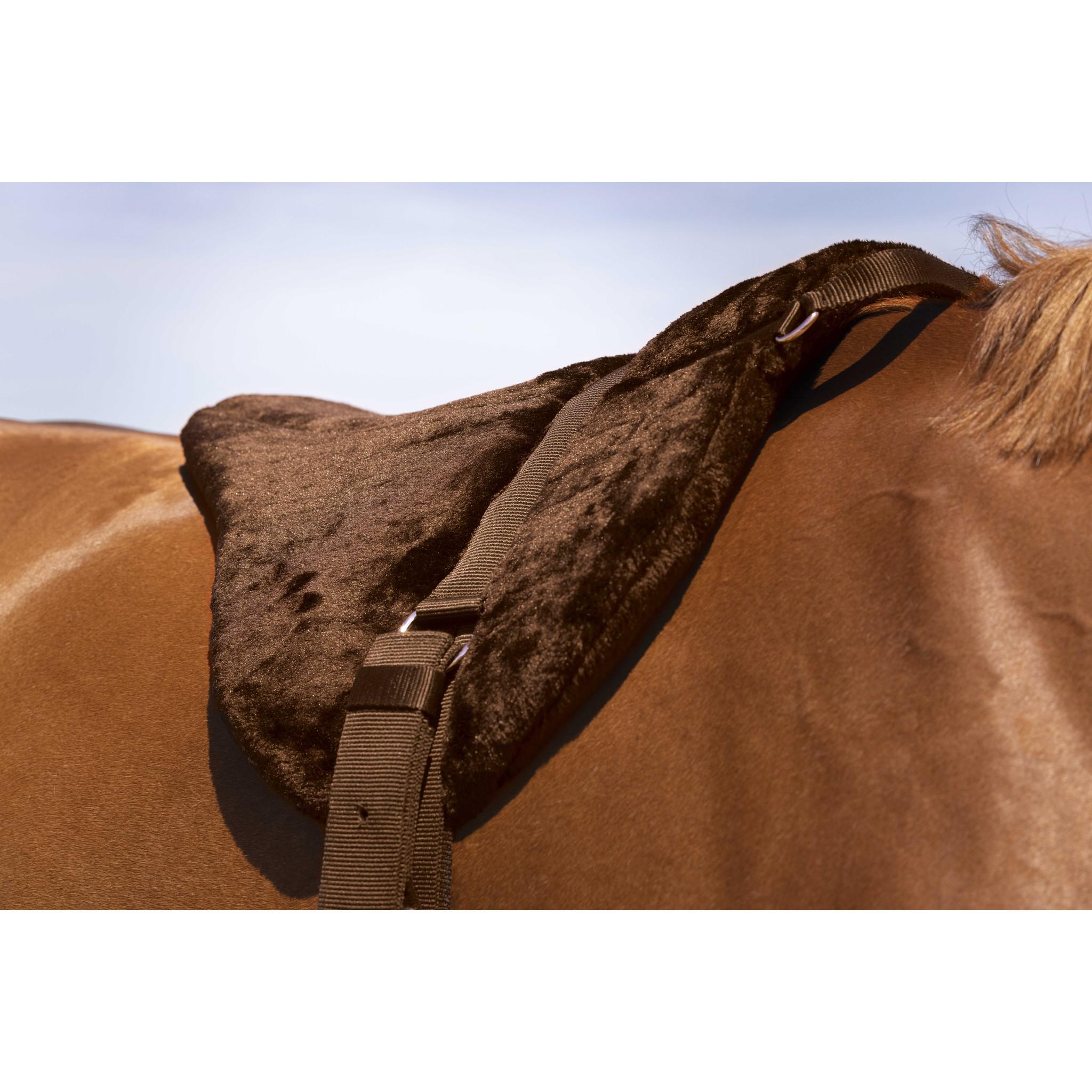 Norton confort Bareback riding pad Brown 101054304
