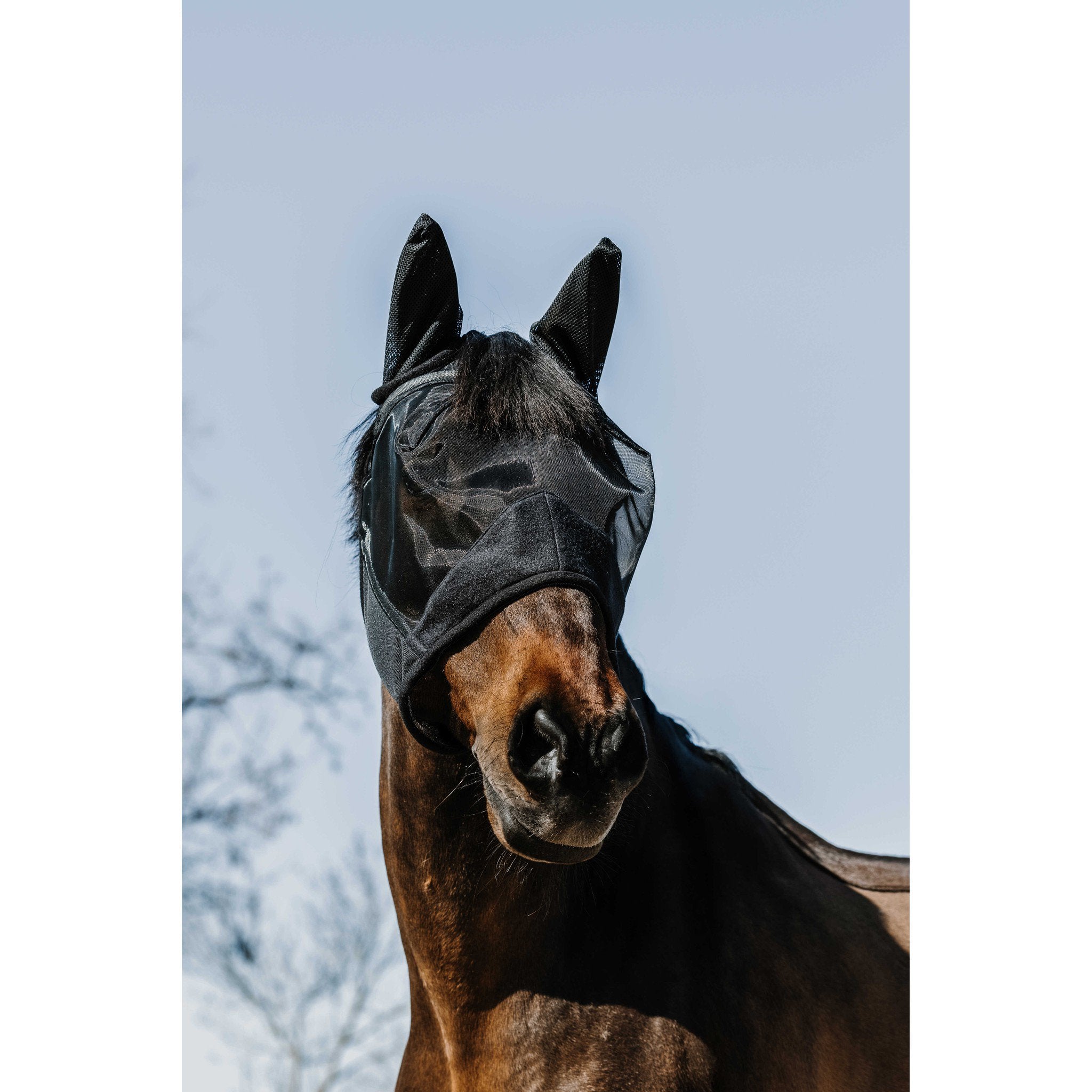 EQUITHÈME Supercut UV Protection Fly Mask Black 306018003