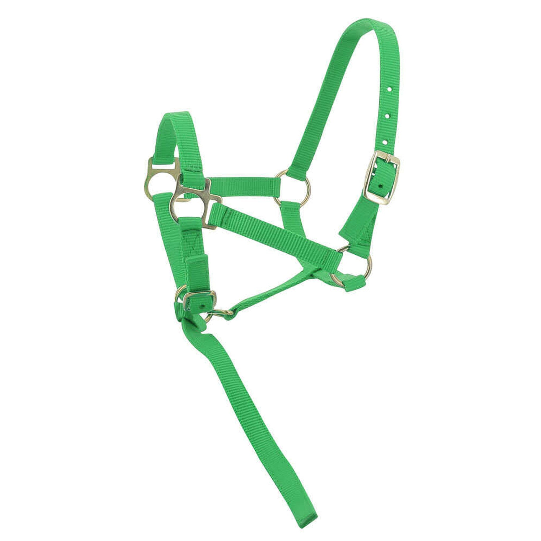 Norton Nylon halter foal Light green 510038008