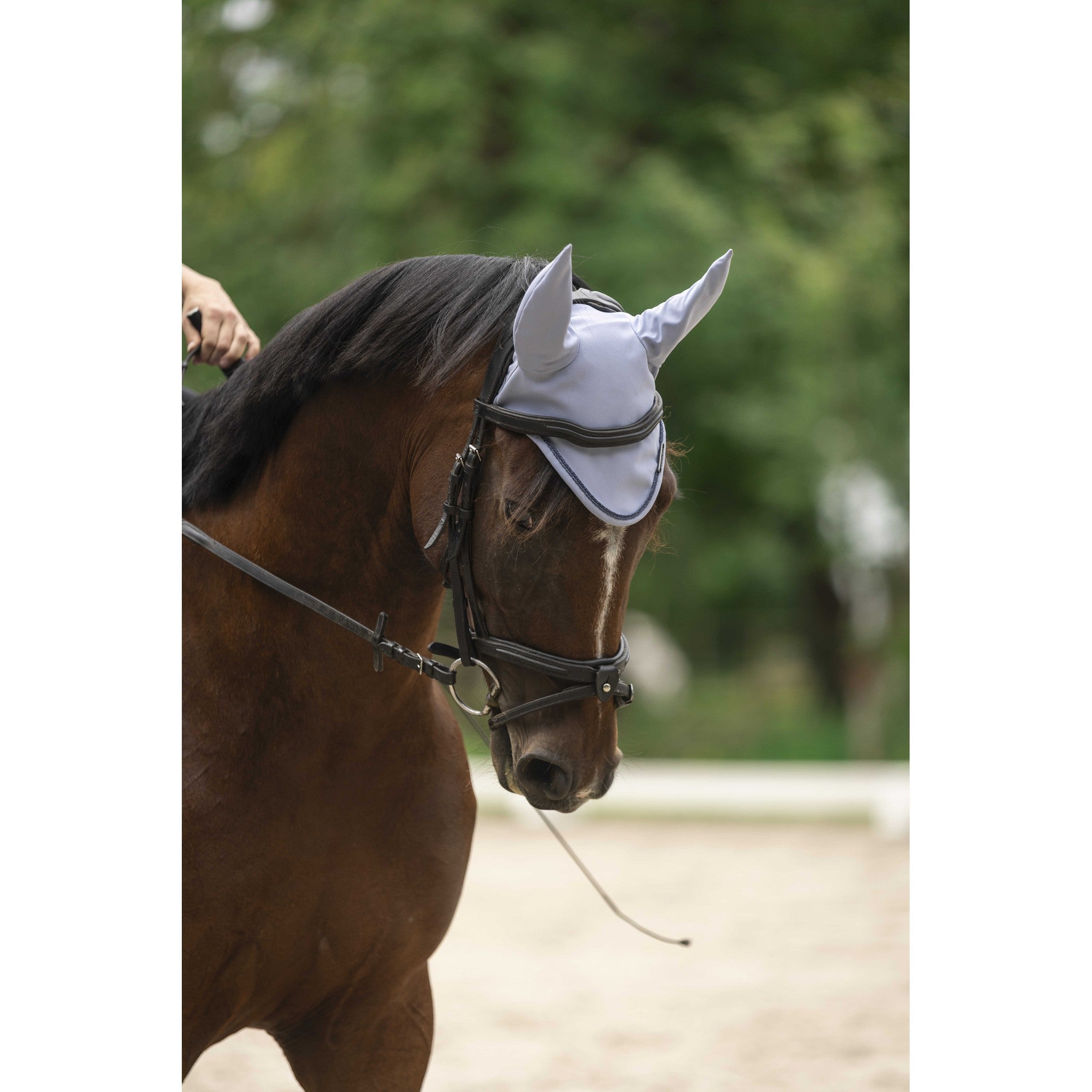 Lami-Cell Midnight Fly Veil Dark grey 320037130