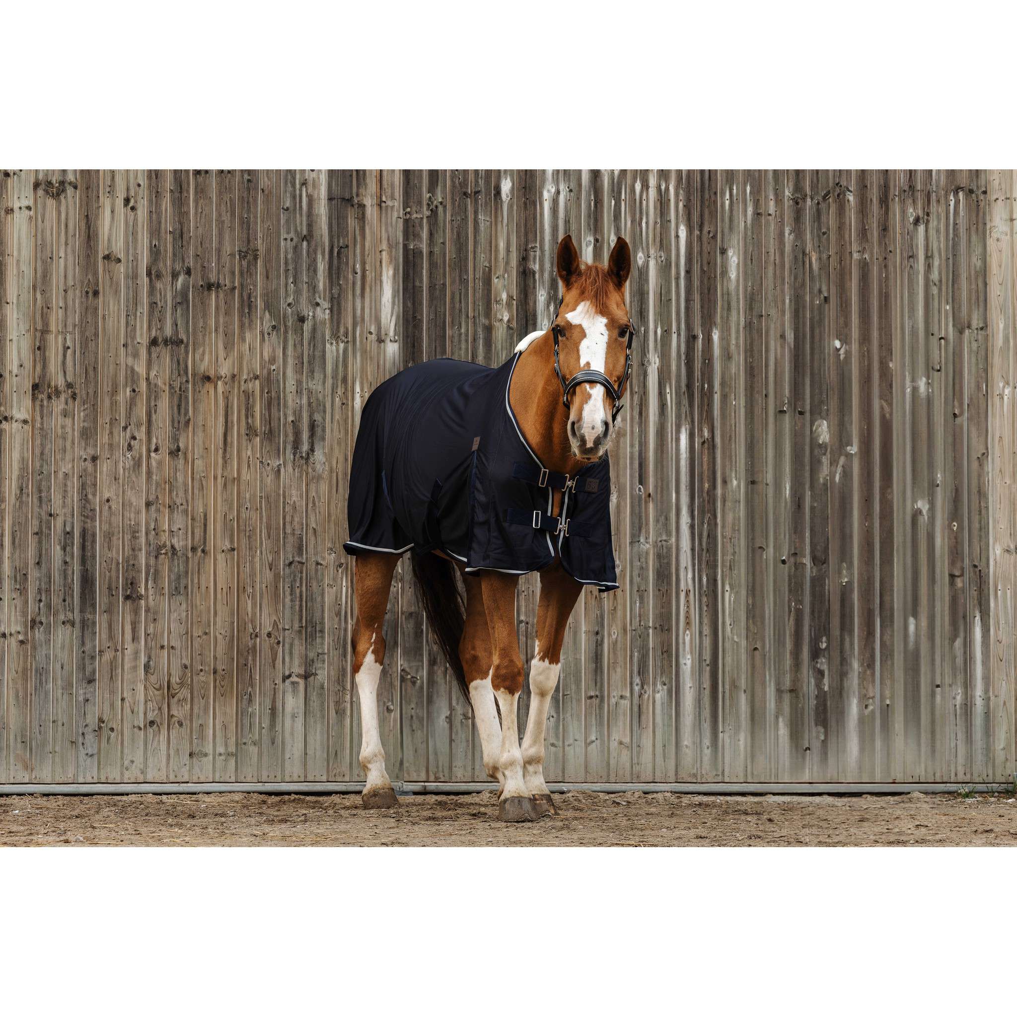 EQUITHÈME Micro Mesh Sheet - Standard Navy blue 400354063