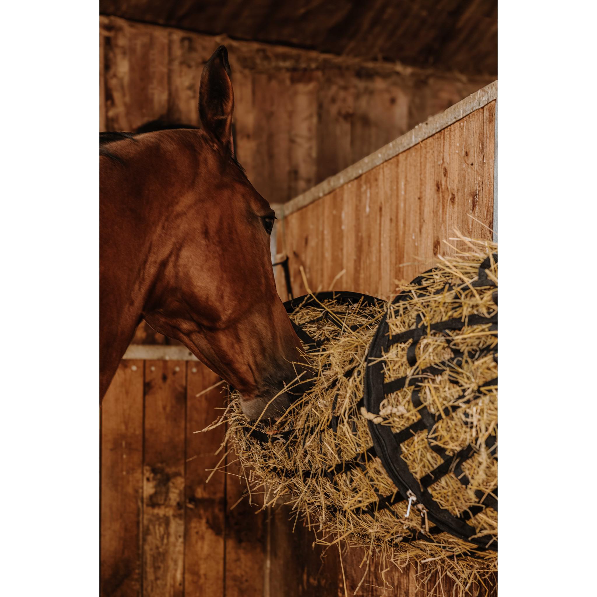 Hippo-Tonic Tunnel Hay Net Black 306843002