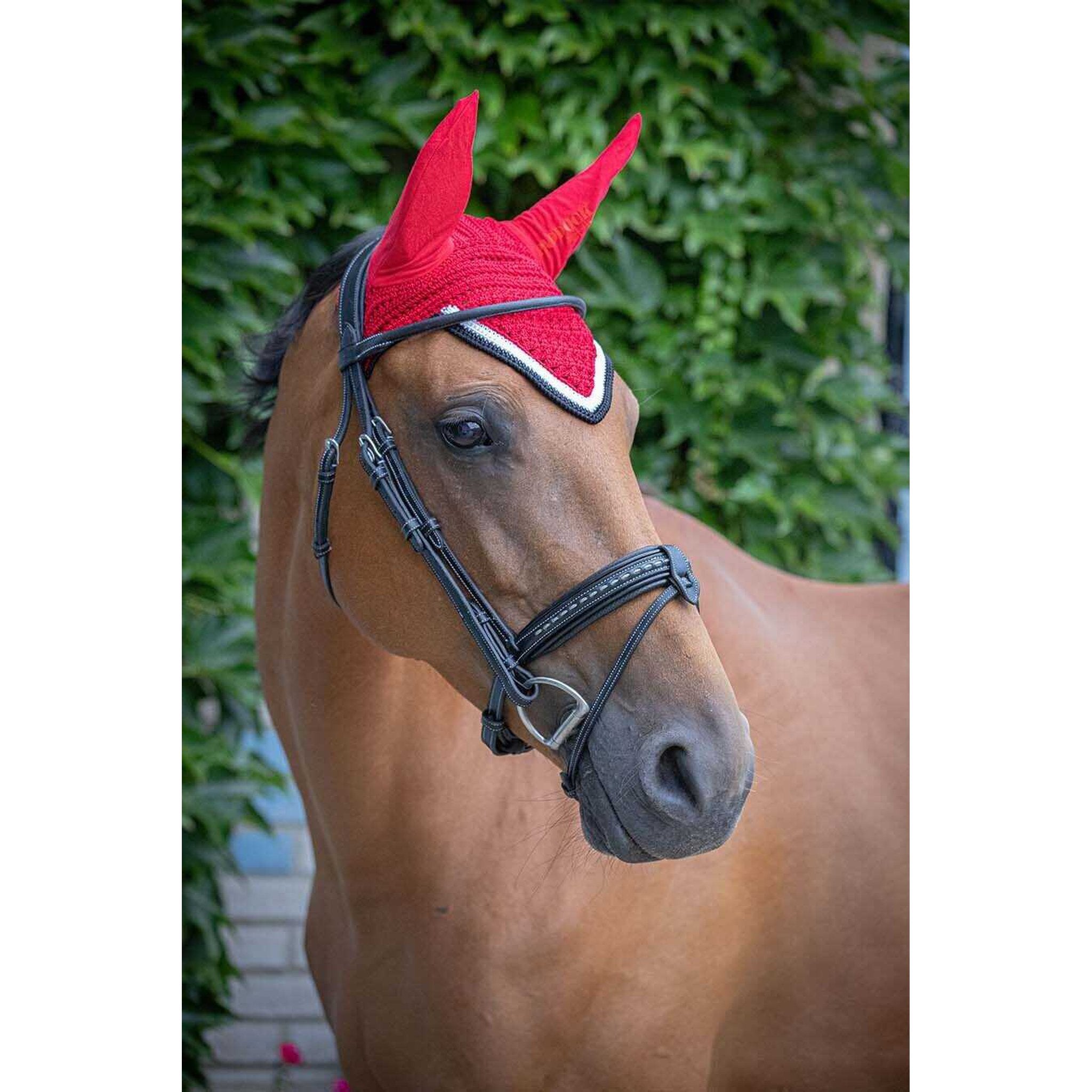 Paddock Sports Origine Fly Veil Red - 306988003_ambi_4