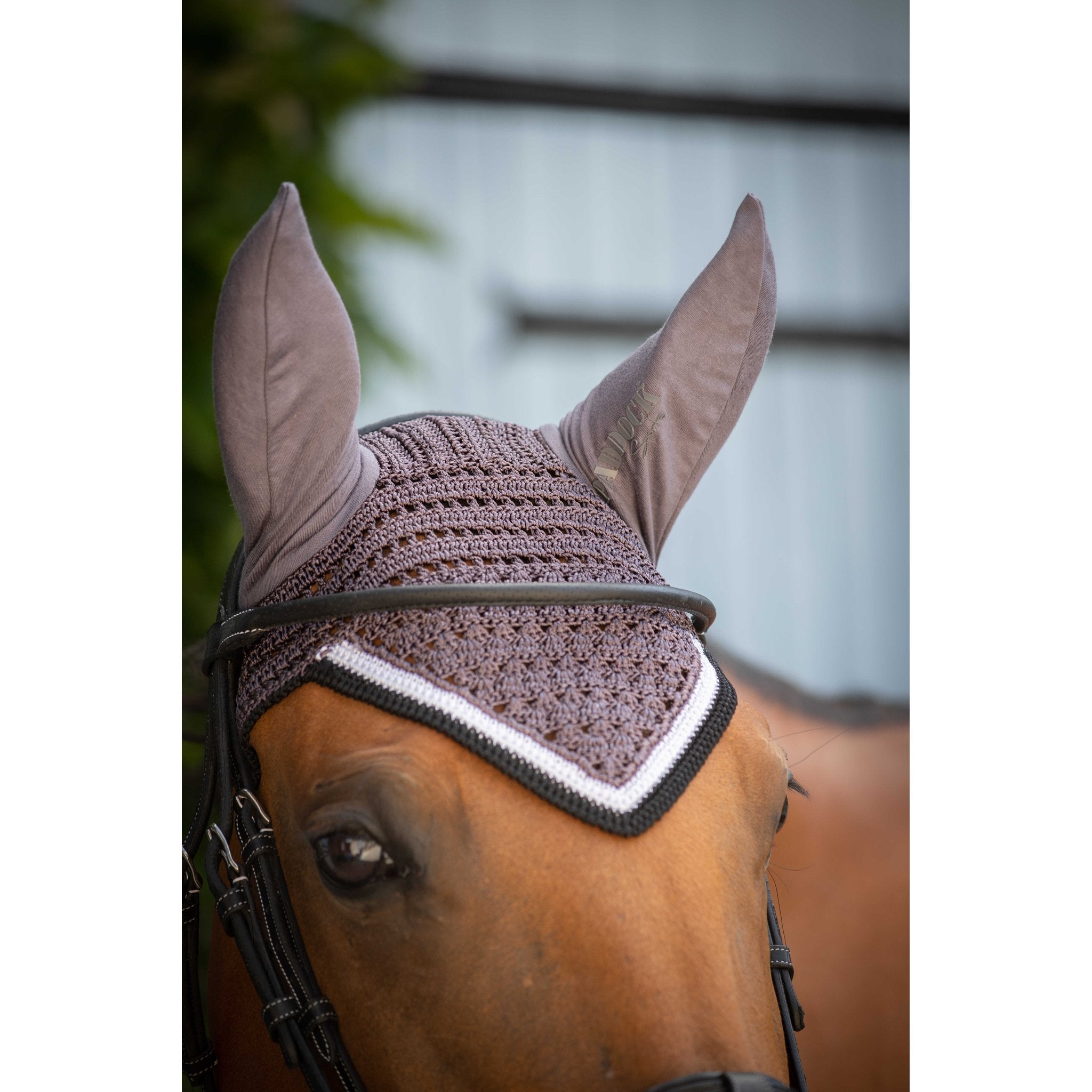 Paddock Sports Origine Fly Veil Dark grey - 306988031_ambi_4