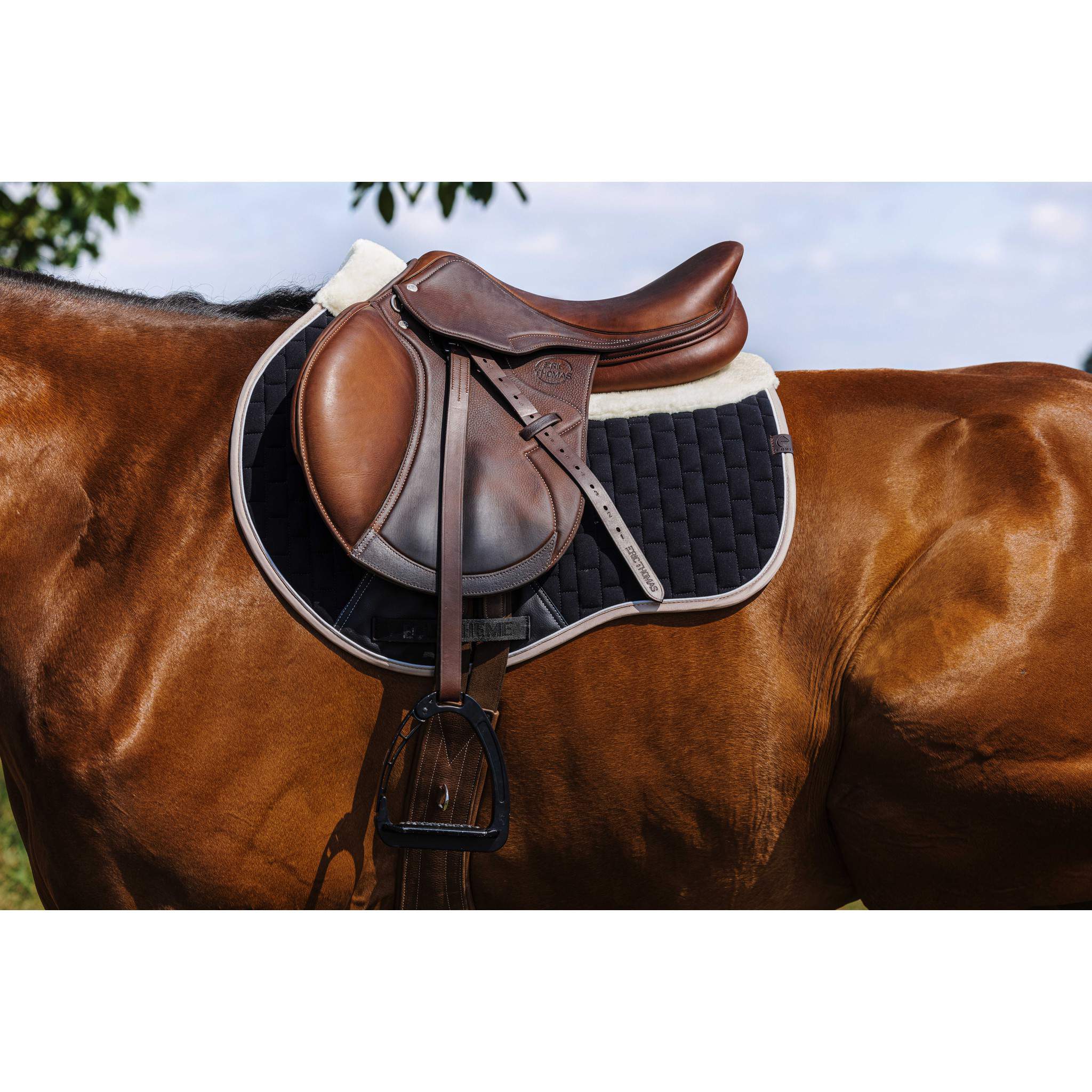 EQUITHÈME Dinard Saddle Pad - All purpose Black 204007002