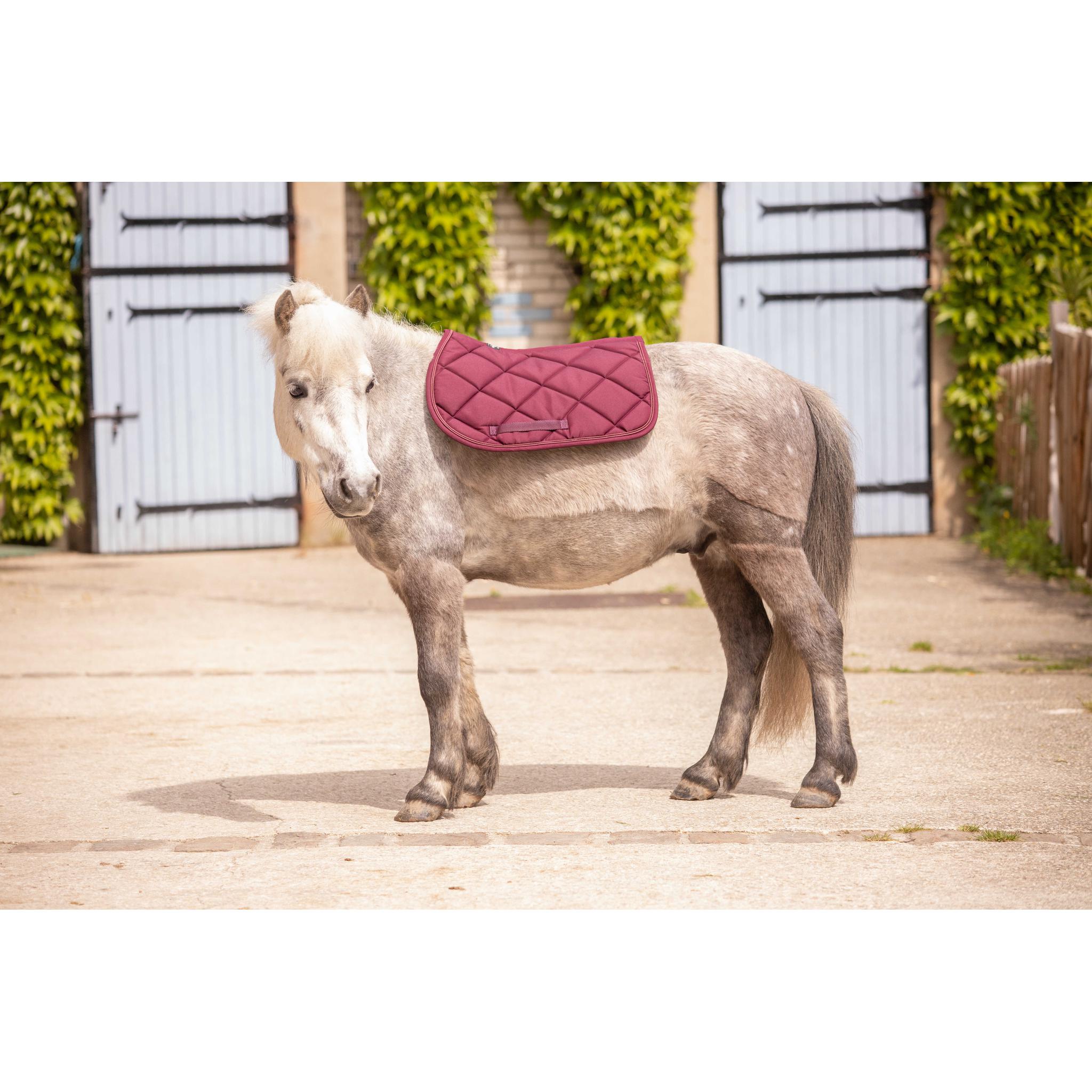 Paddock Sports Prem's All-Purpose Saddle Pad Plum - 204746034_ambi_6