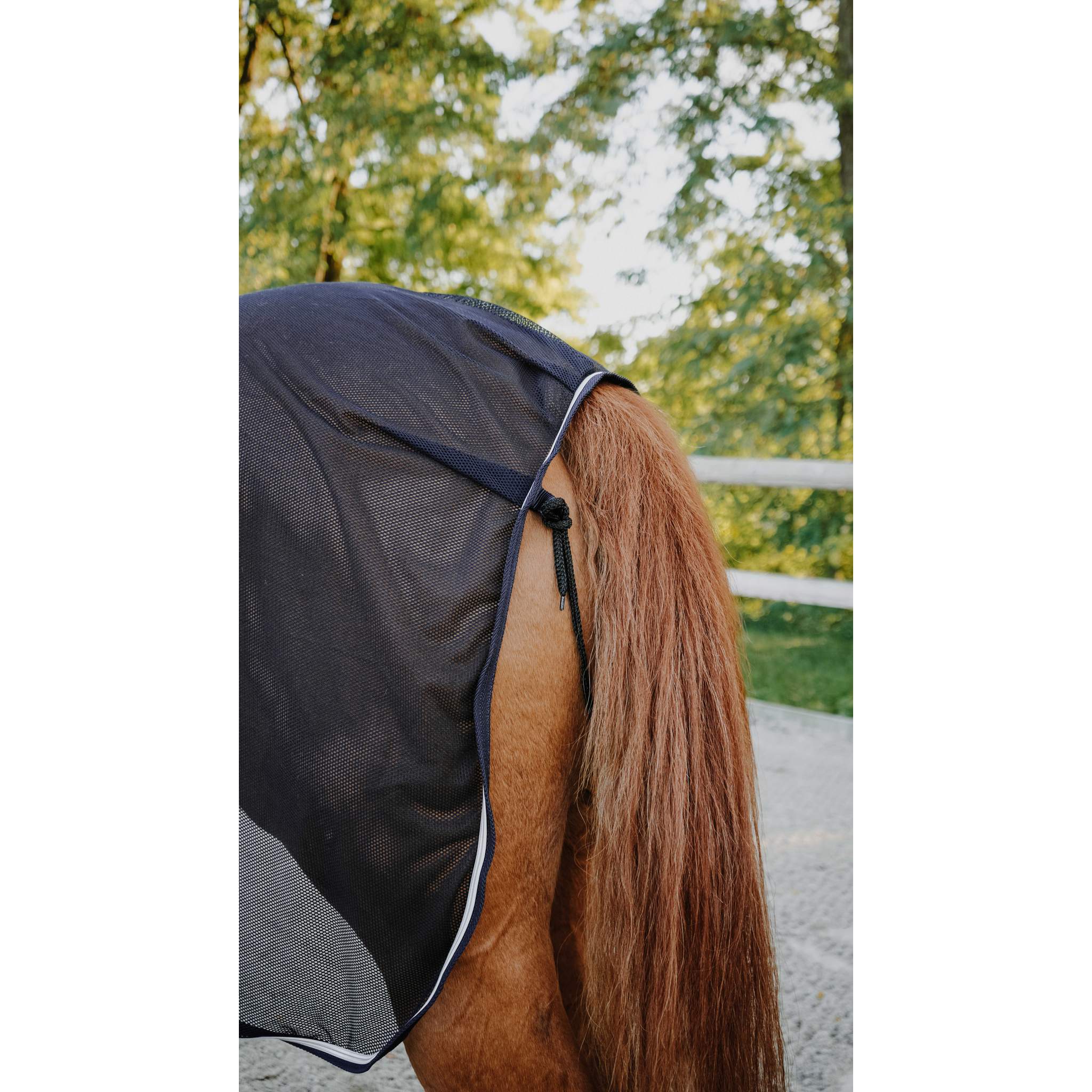 EQUITHÈME Serenity Sheet Navy blue - 400727760_ambi_3