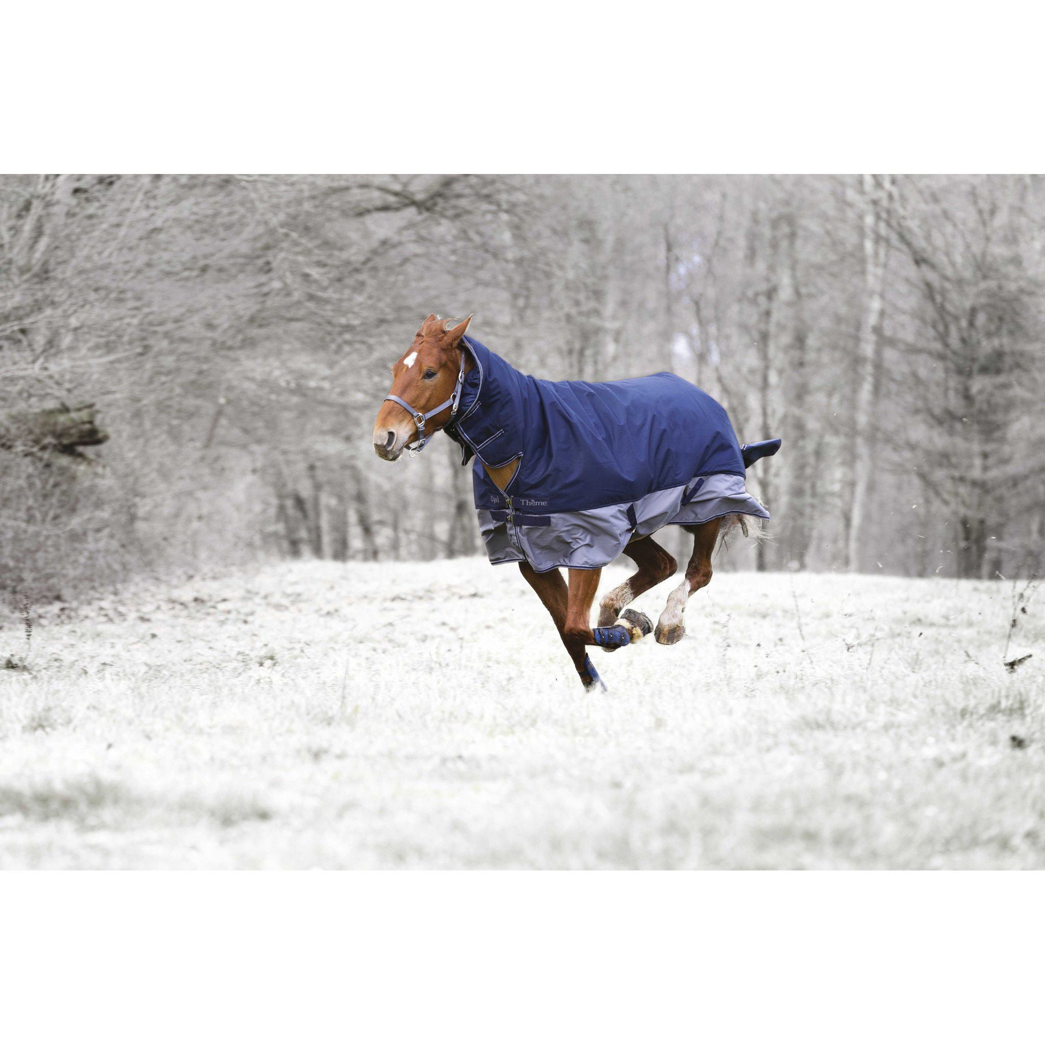 EQUITHÈME Tyrex 600D turnout rug - Combo Navy blue/grey 400920763