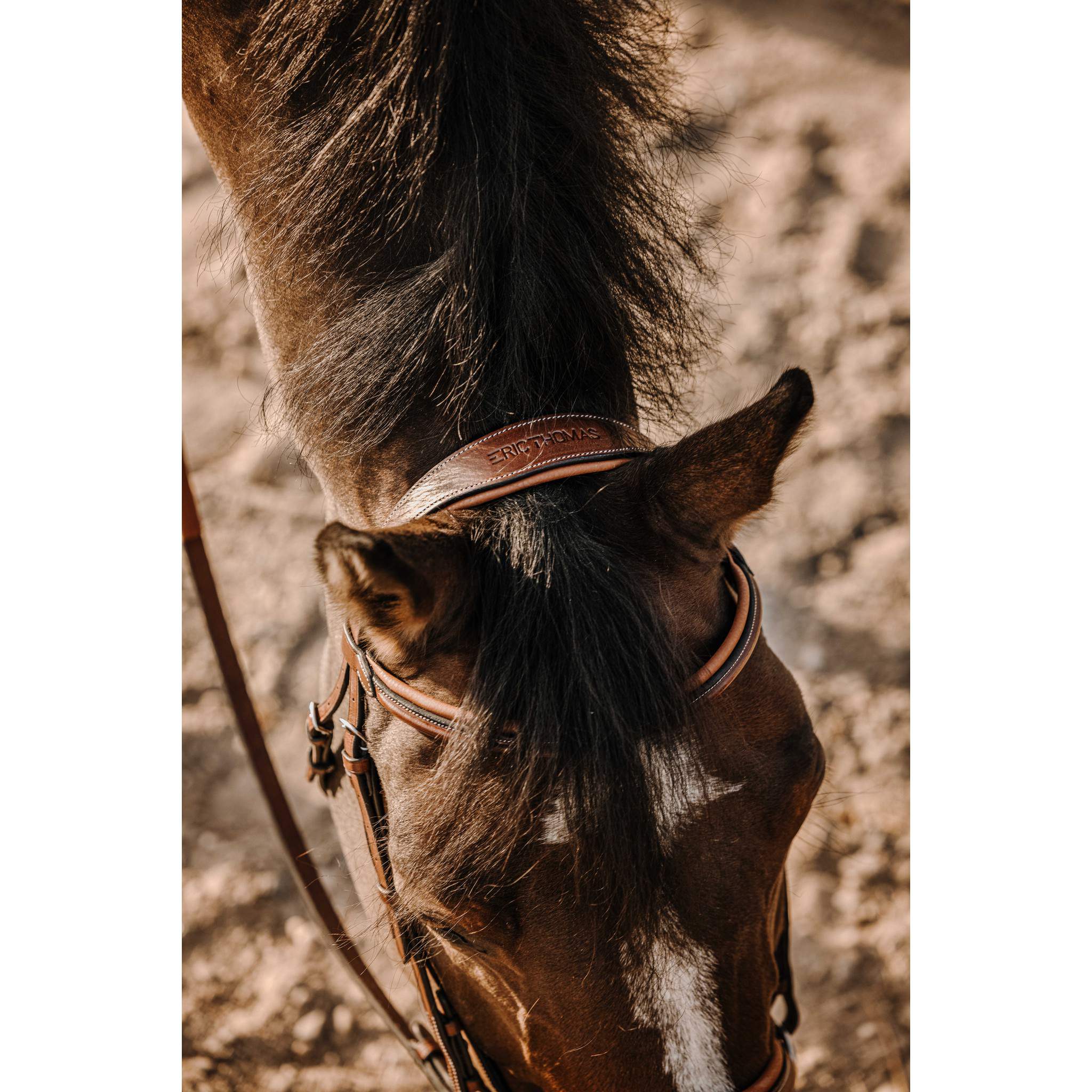 Éric Thomas Work Bridle Havana 301906318