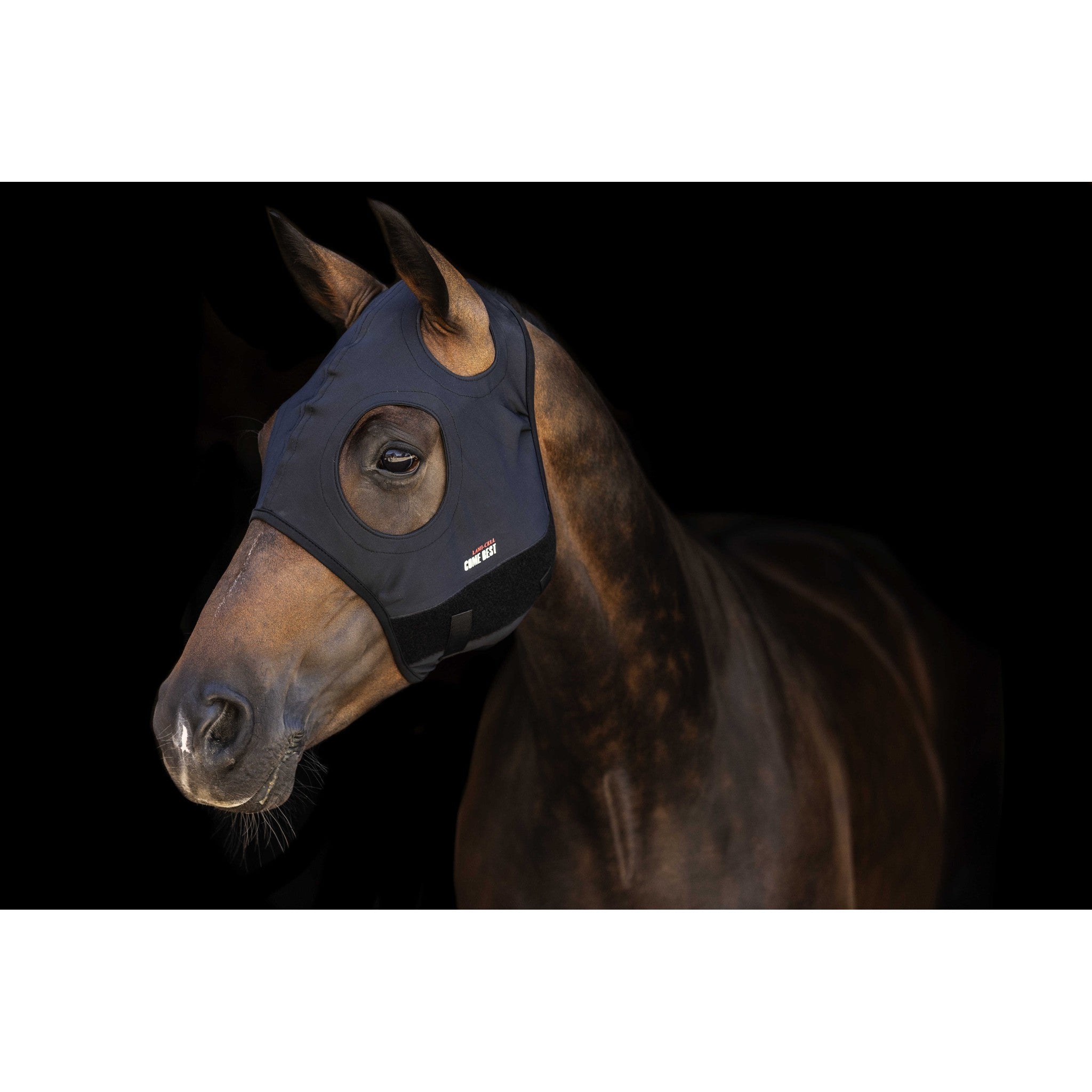 Lami-Cell Titanium Fly mask Black 320028202