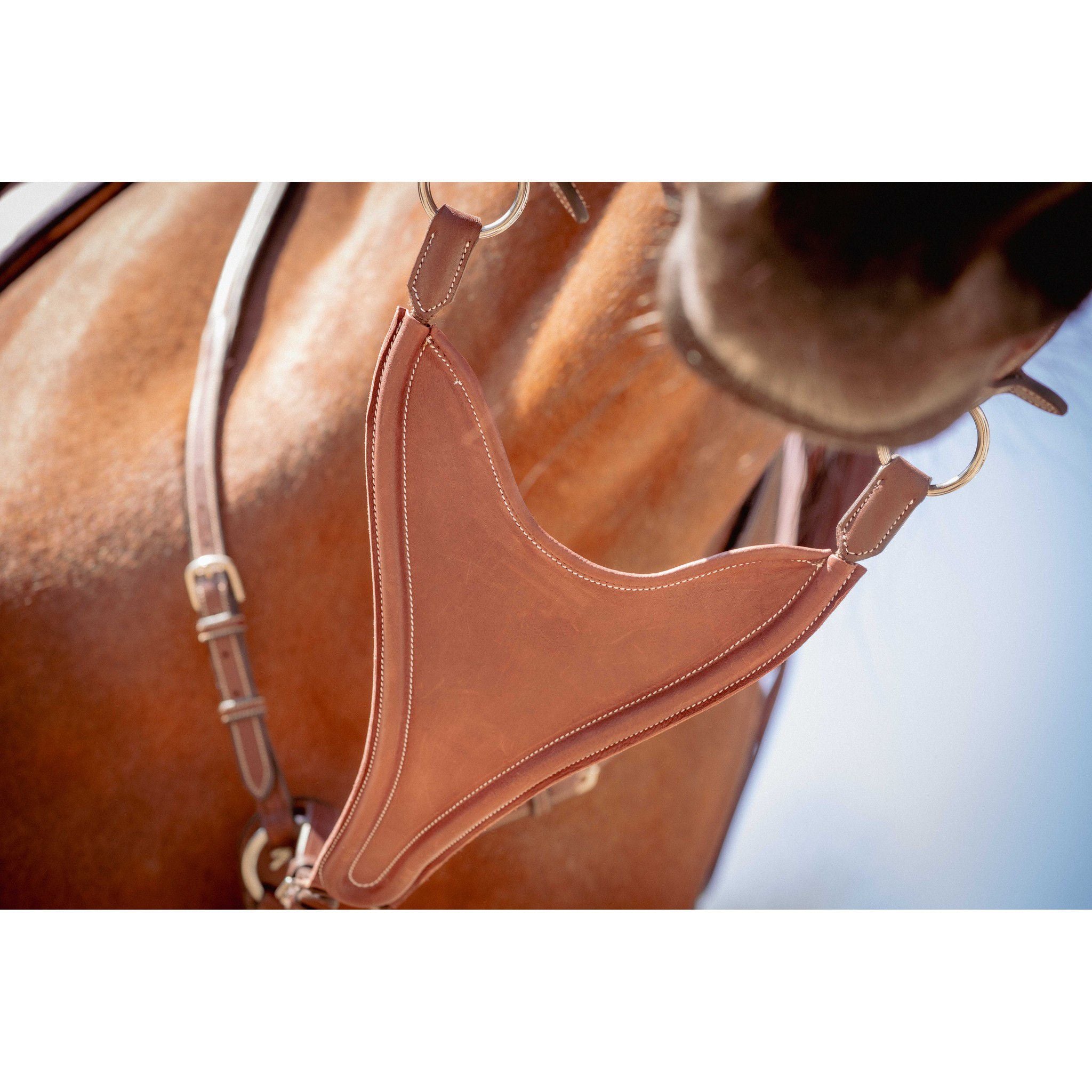 Pénélope Bip Plain Martingale Attachment Chestnut 306152004