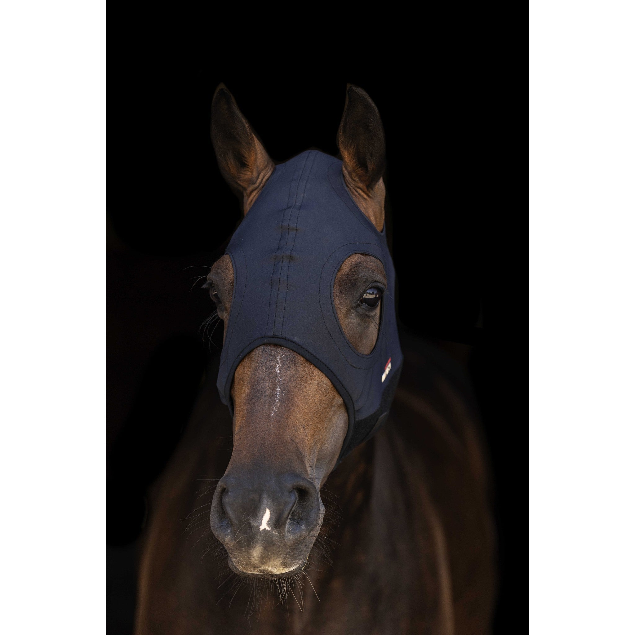 Lami-Cell Titanium Fly mask Black 320028202