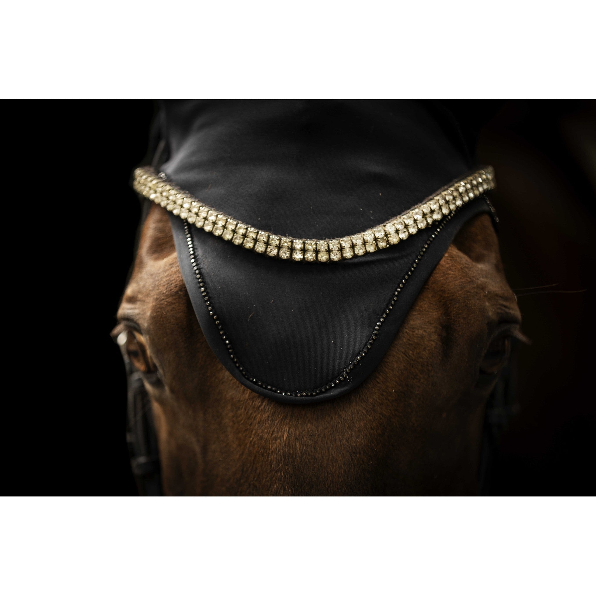 Lami-Cell Come Best Titanium Fly Veil Black 320036302