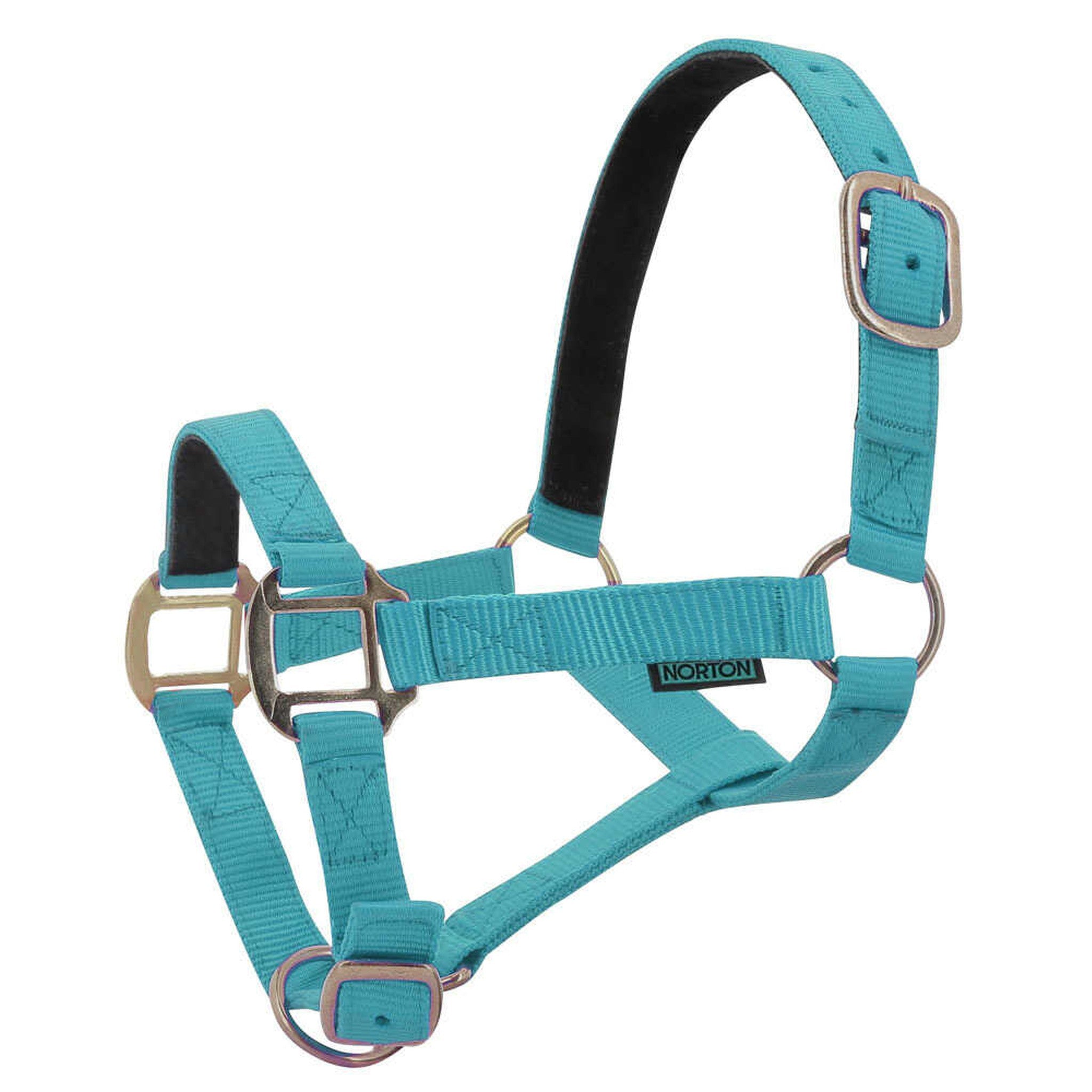 Norton Leather lined nylon headcollar Turquoise 510175017