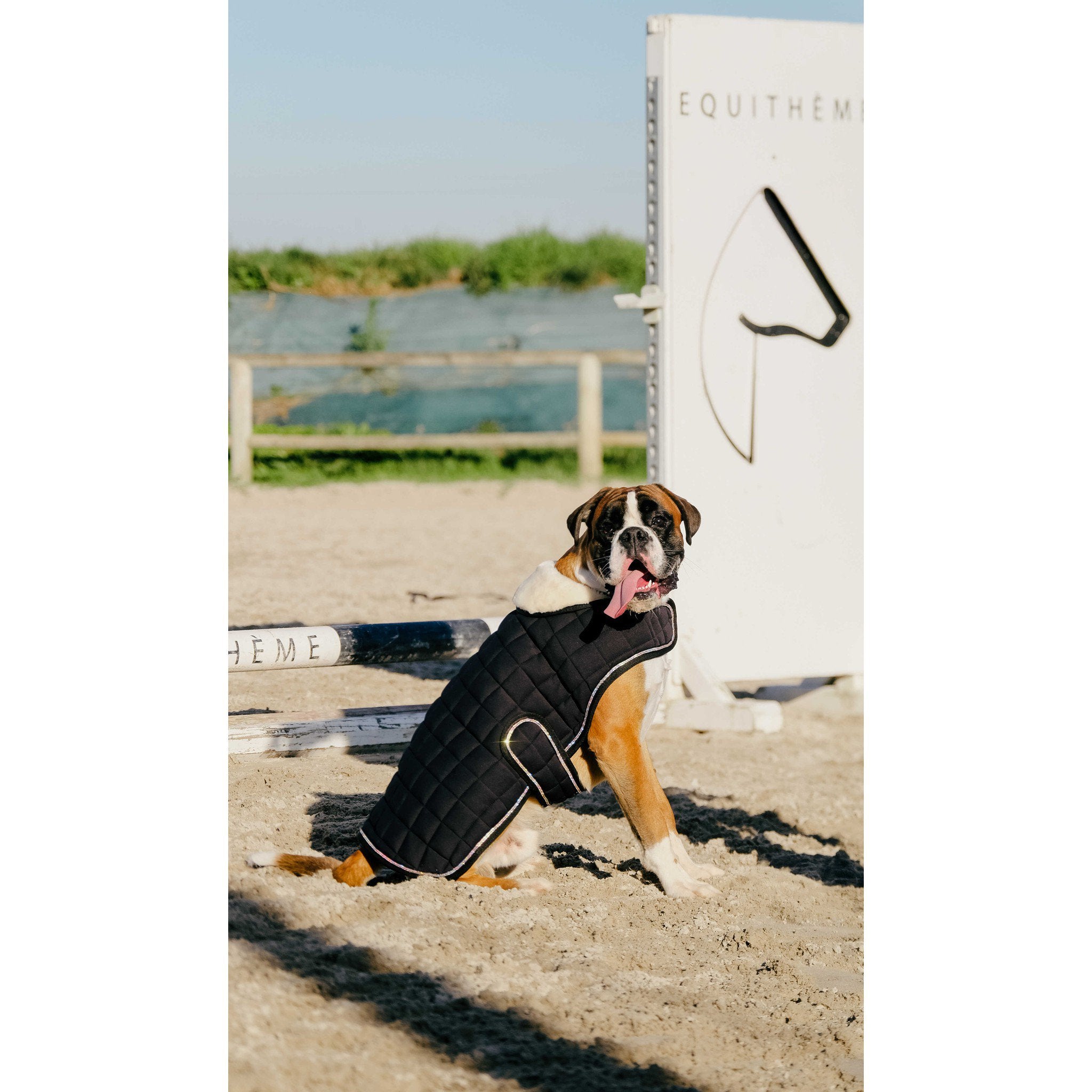 Je t'aime EQUITHÈME Velours dog rug Black 409037240