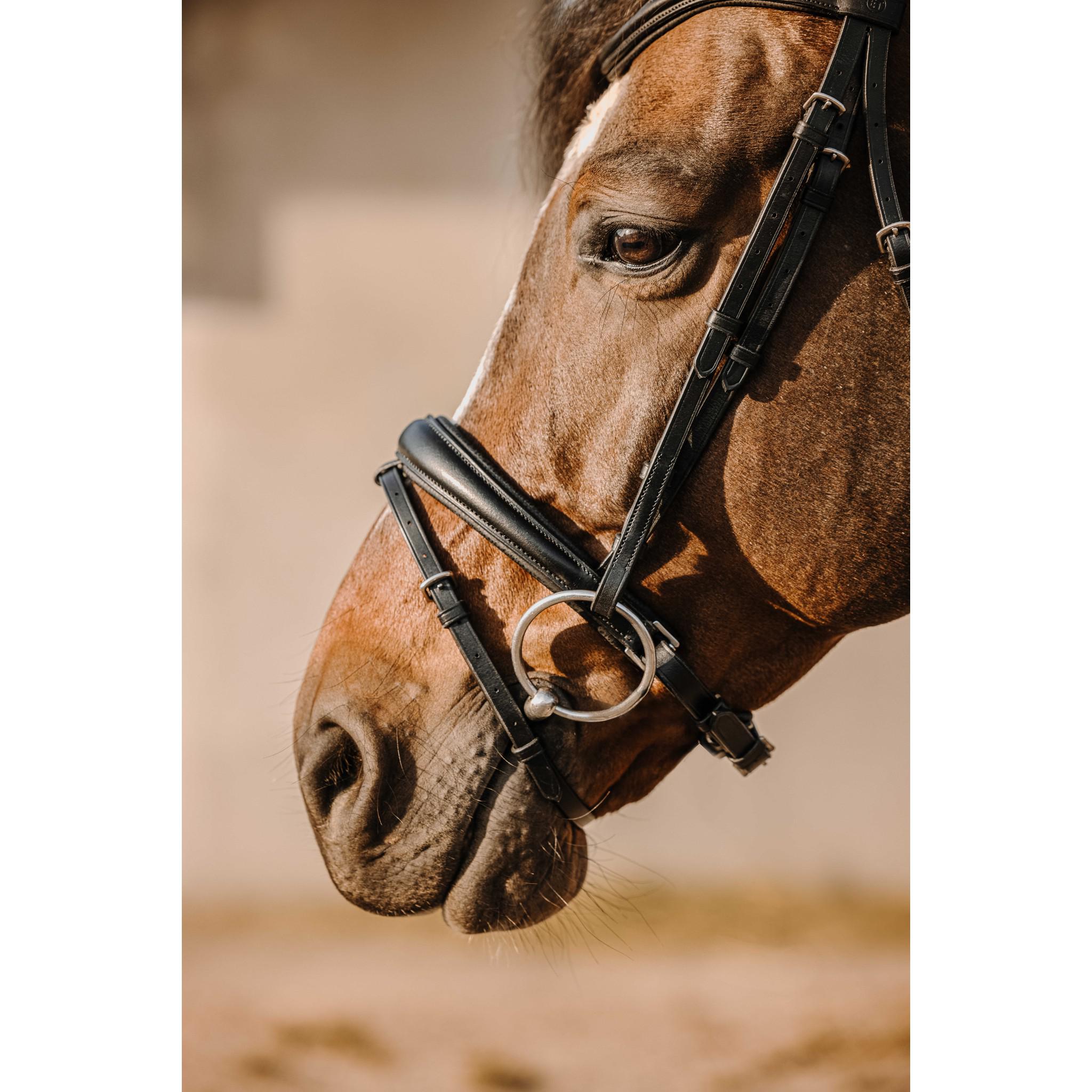 Éric Thomas Bat Bridle Black 301909302