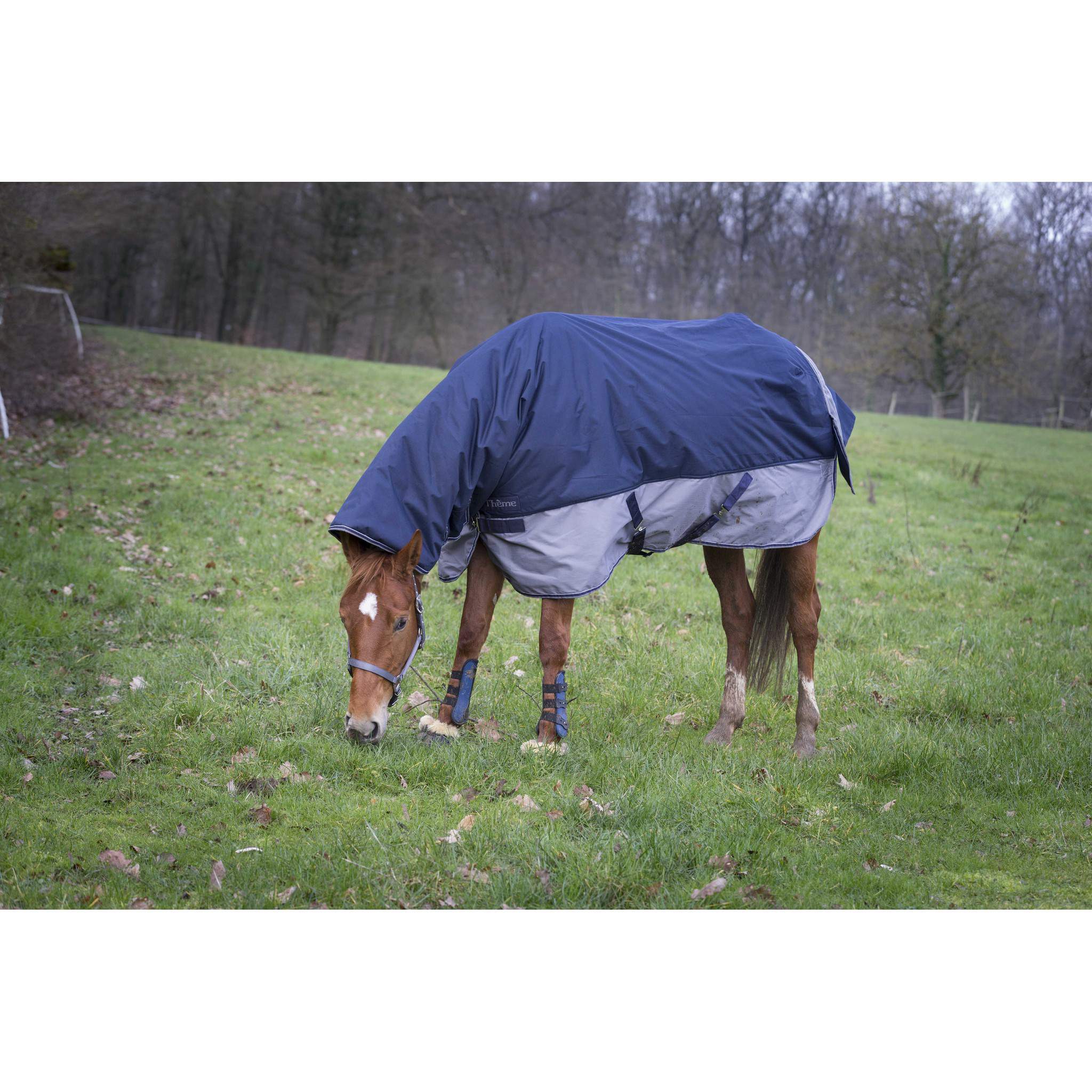 EQUITHÈME Tyrex 600D turnout rug - Combo Navy blue/grey 400920763