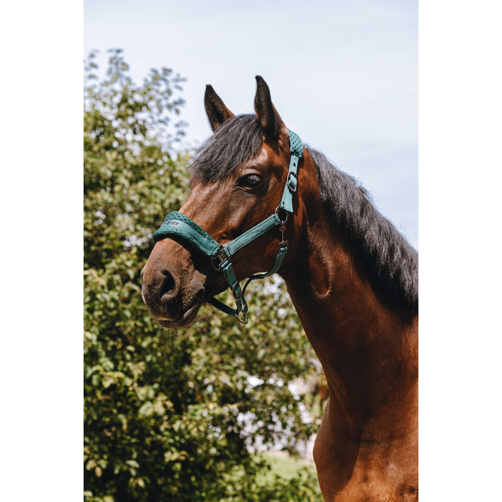 EQUITHÈME 3D Mesh Halter Green 510261309