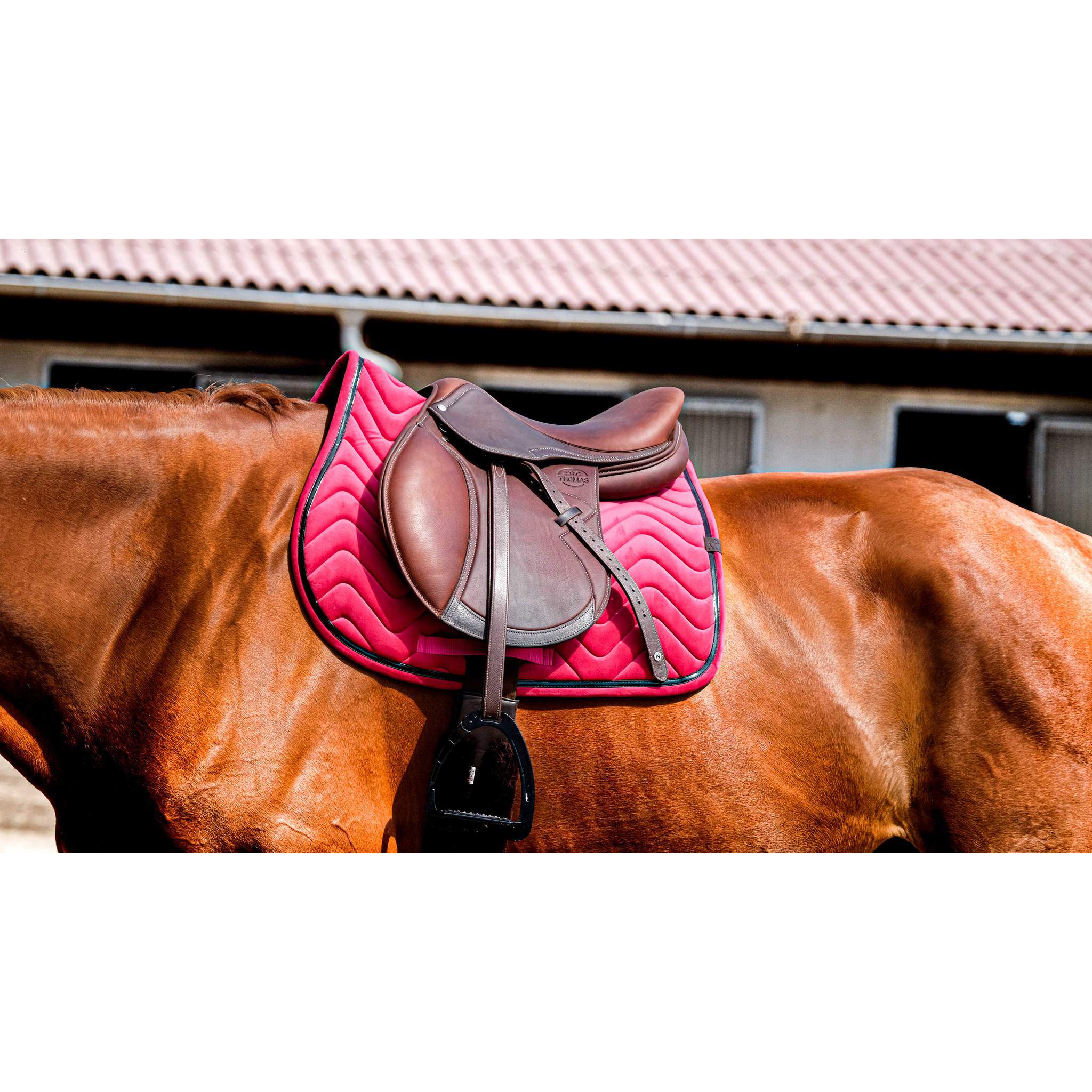 EQUITHÈME Glossy Saddle pad - All purpose Raspberry 204761035