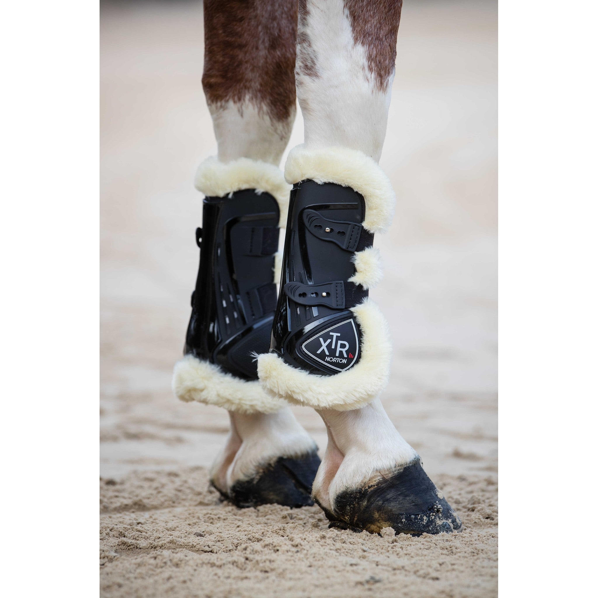 Norton XTR Sheepskin Tendon Boots with Buttons - Black - 530672023_ambi_1