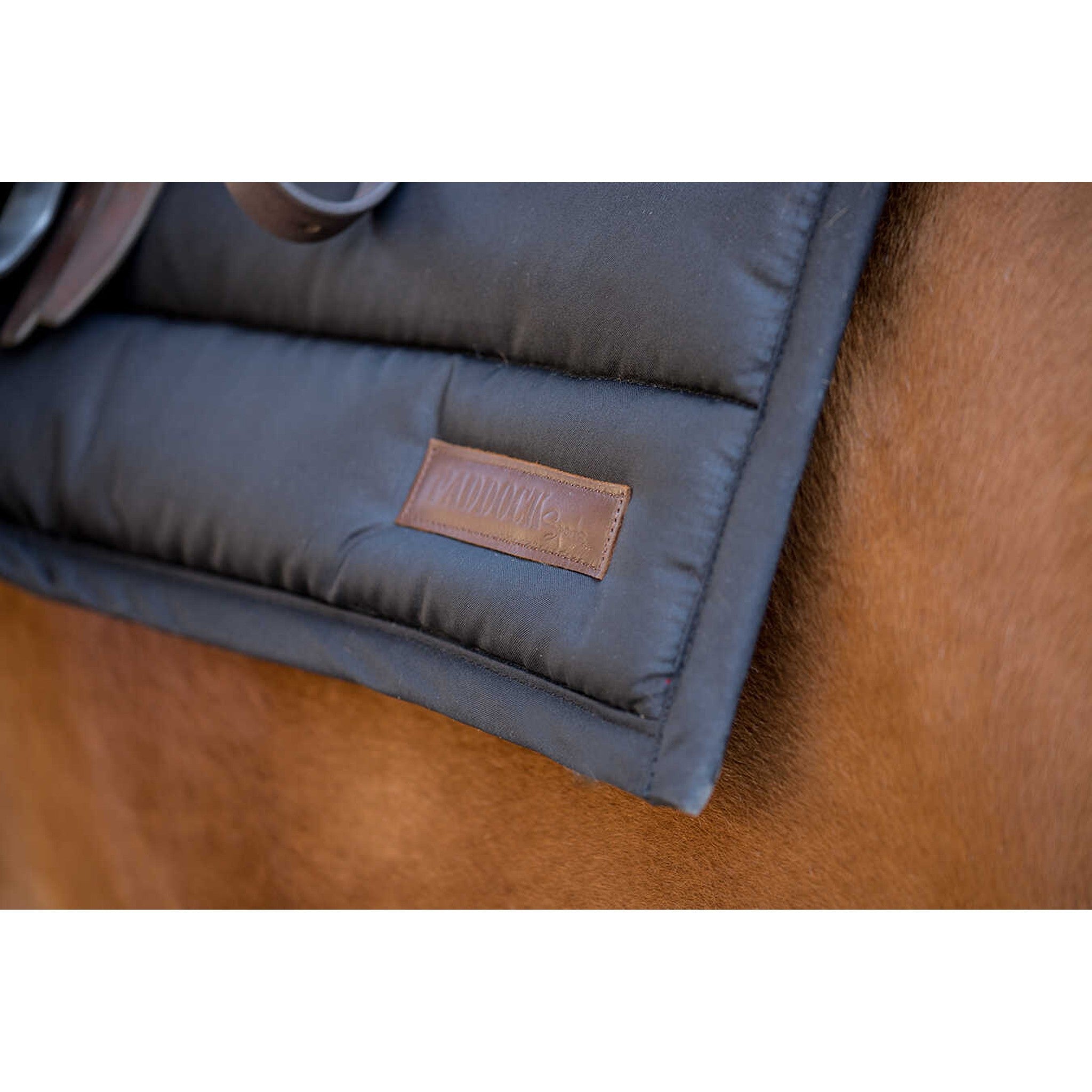 Paddock Sports Big Pad Saddle pad - All purpose Black 204752002
