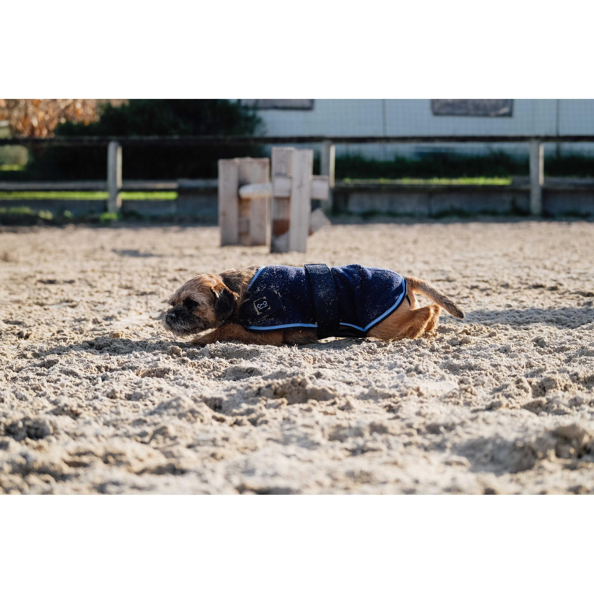 Riding World Fleece Dog rug Navy blue 409099760