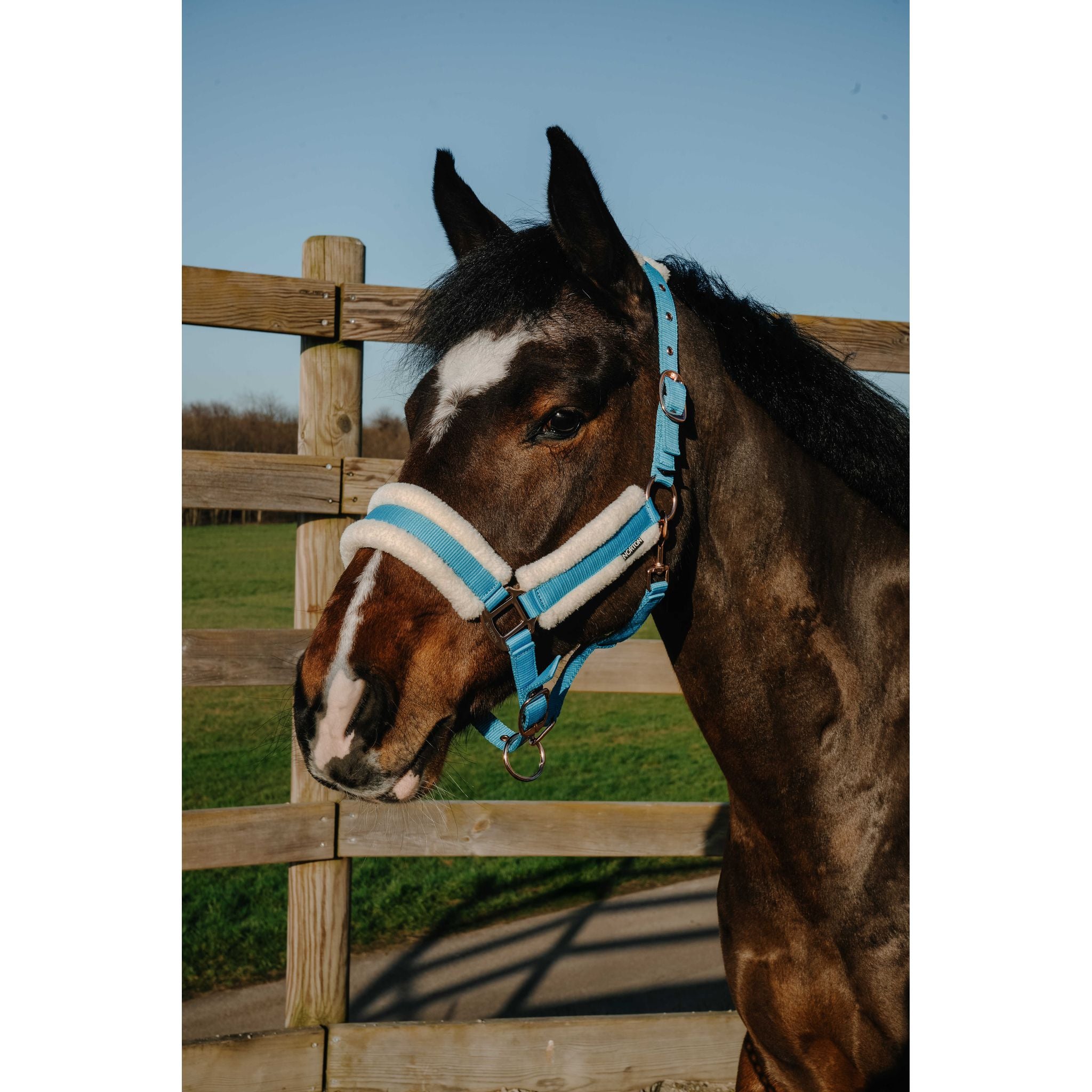 NORTON Comfy Halter Royal blue - 510280306_ambi_2