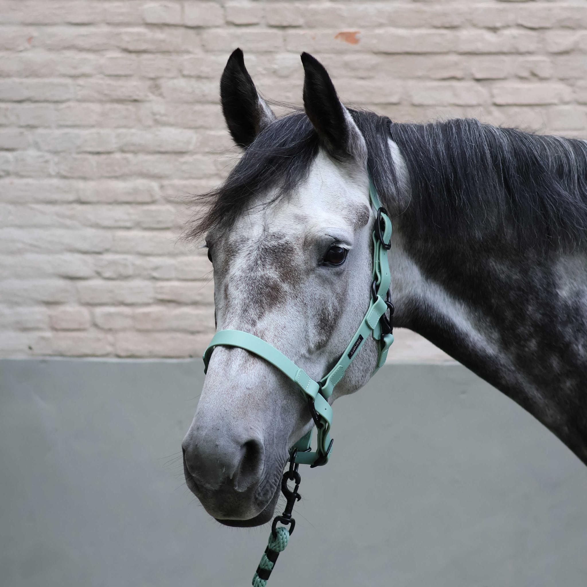 Lami-Cell Midnight Tie Lead Olive - 555028018_ambi_2